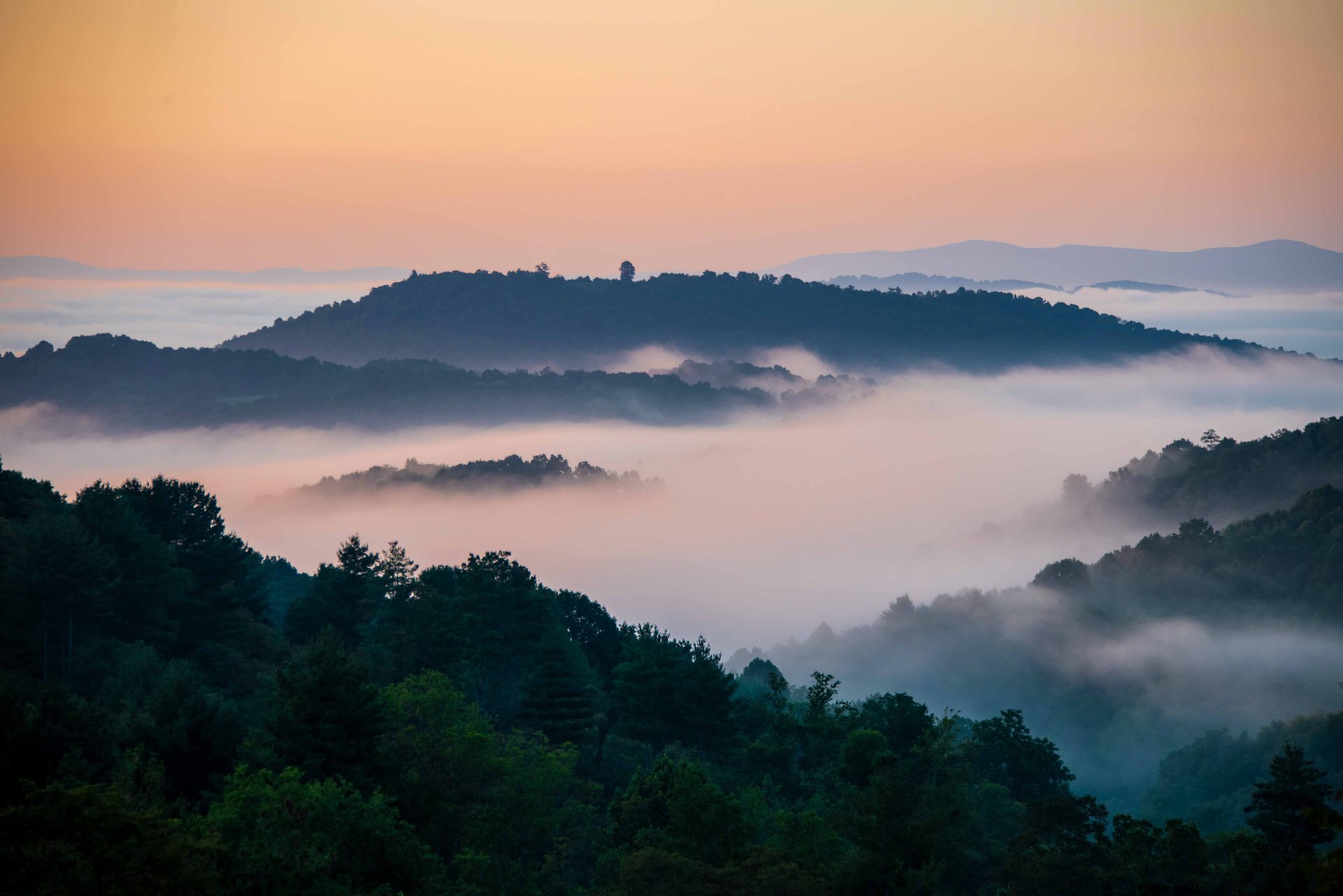 Mountainous landforms, atmospheric phenomenon, Natural landscape, Hill station, Mountain, Highland, Forest, Cloud, Mist