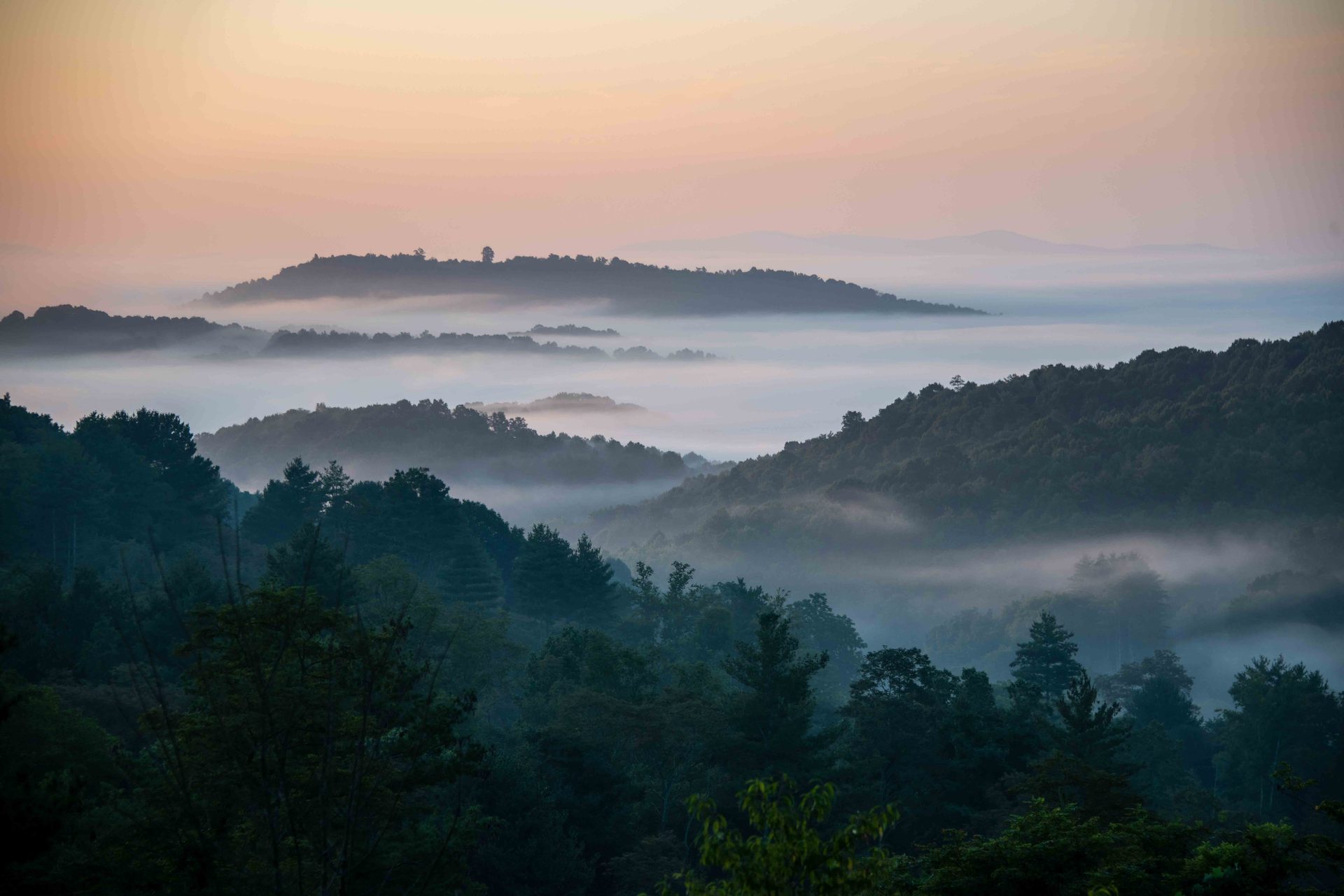 Mountainous landforms, atmospheric phenomenon, Natural landscape, Hill station, Mountain, Forest, Highland, Fog, Mist