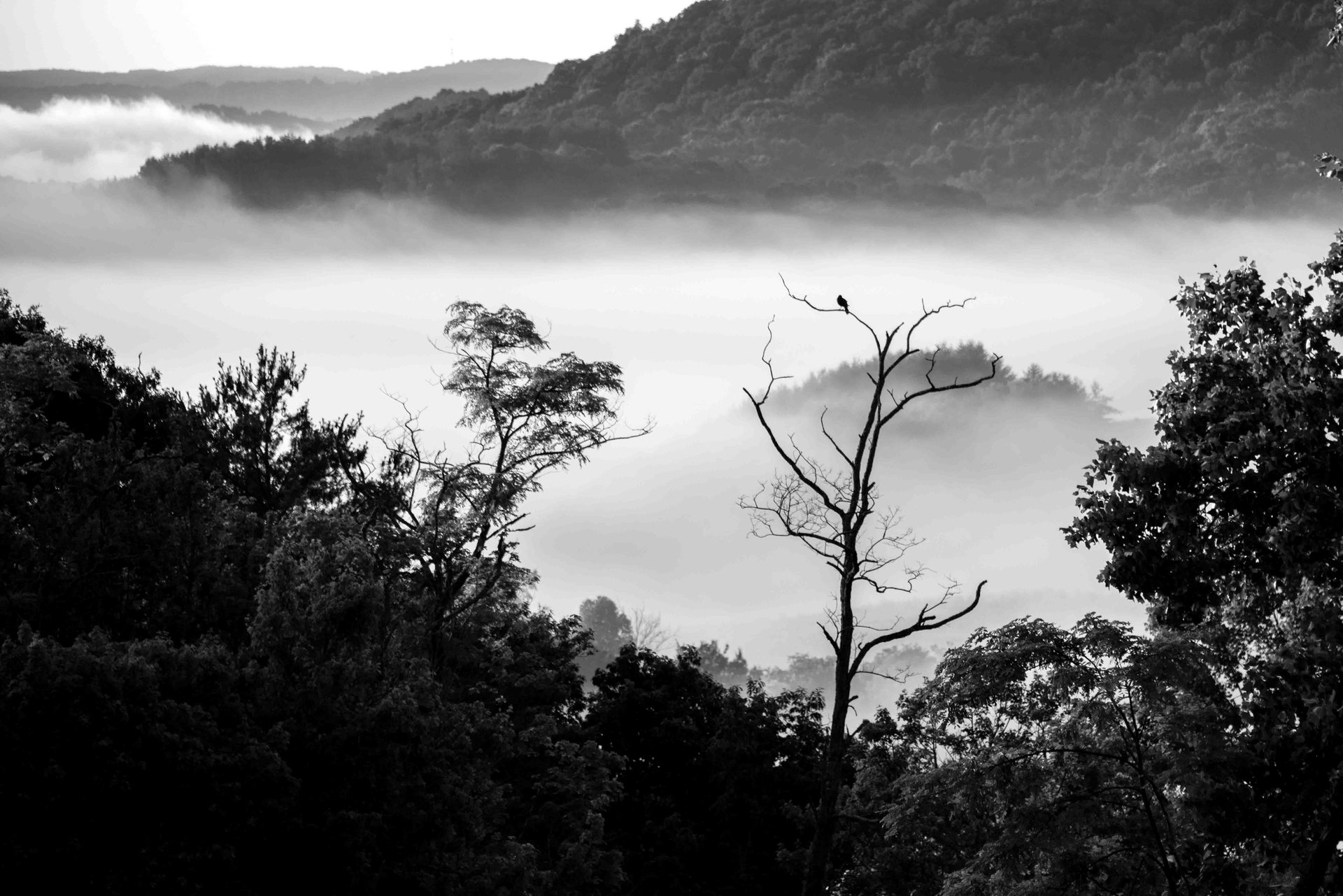 Mountainous landforms, Monochrome photography, atmospheric phenomenon, Natural landscape, Nature, Mountain, Hill, Wilderness, Cloud, Forest