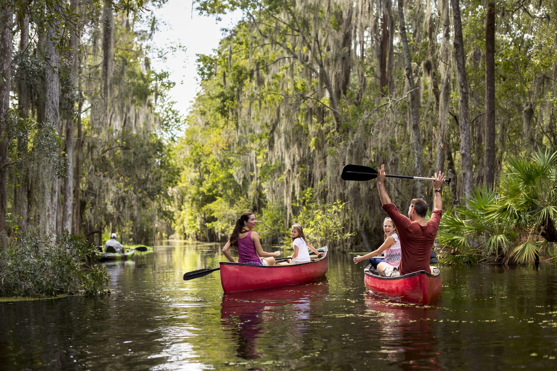 Fluvial landforms of streams, Water resources, Natural environment, Boat, Plant, Vehicle, Paddle, Tree, Lake