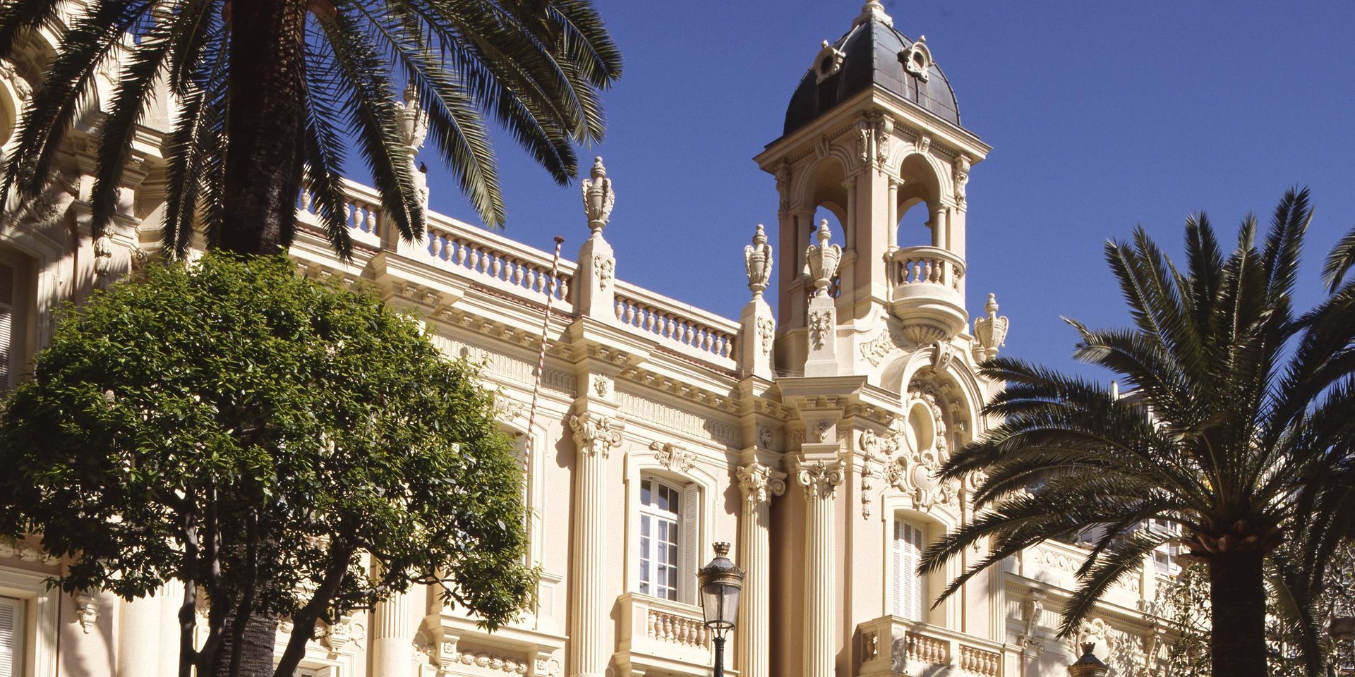 Sky, Tree, Lighting, Plant, Arecales, Window