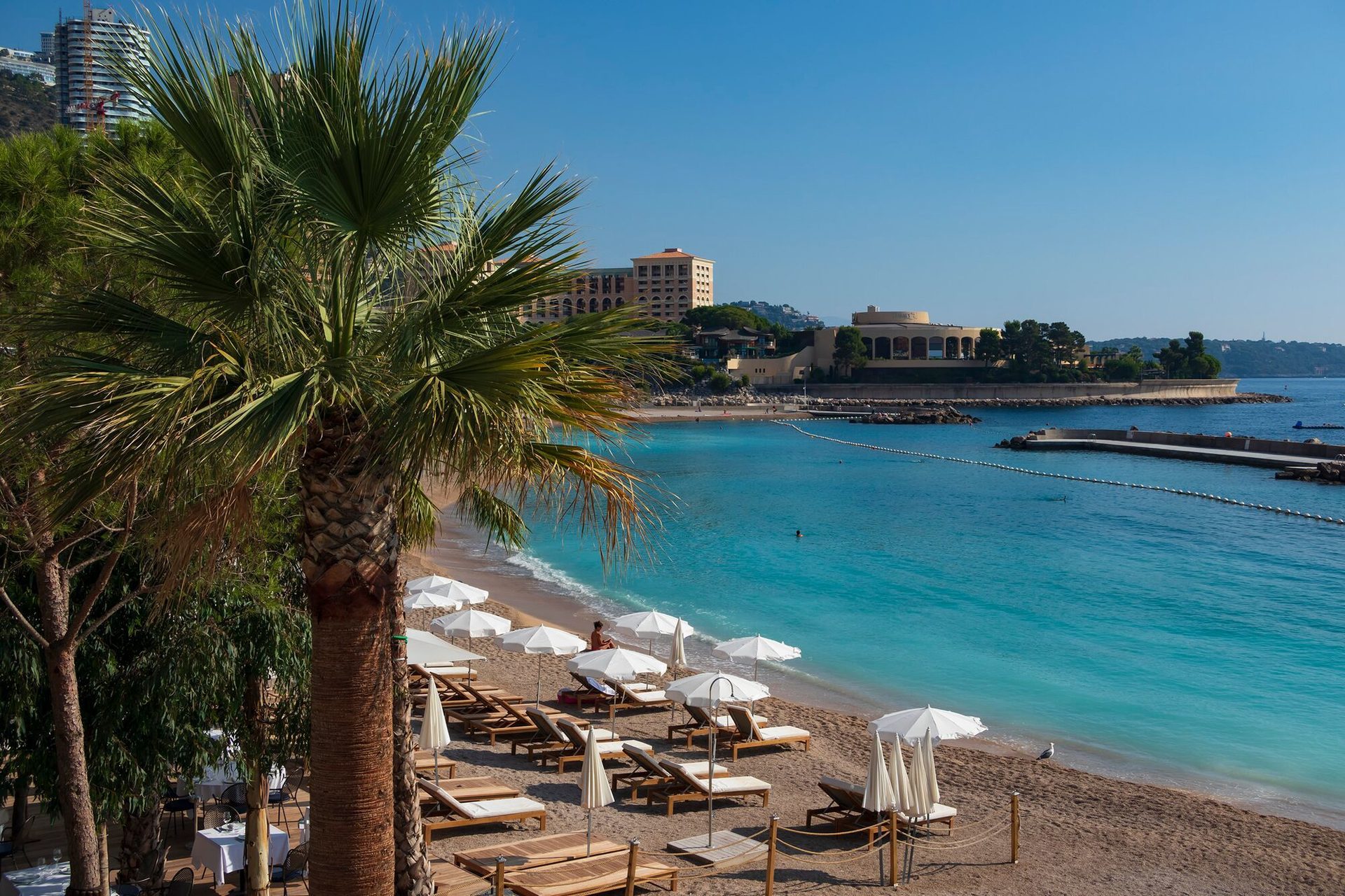 Coastal and oceanic landforms, Body of water, Sky, Building, Azure, Tree, Arecales, Beach