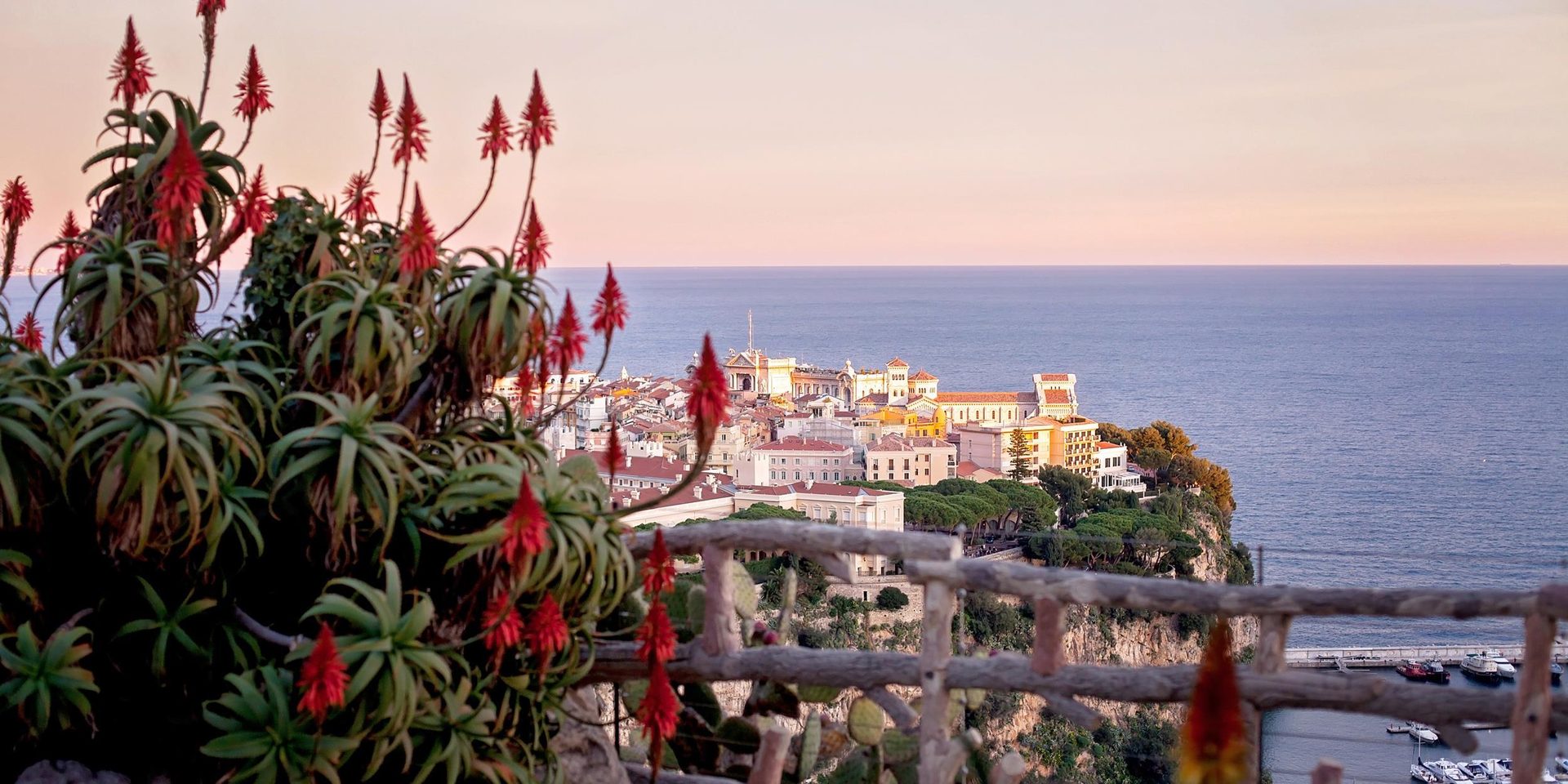 Water, Plant, Sky, Flower, Building, Fence, Travel