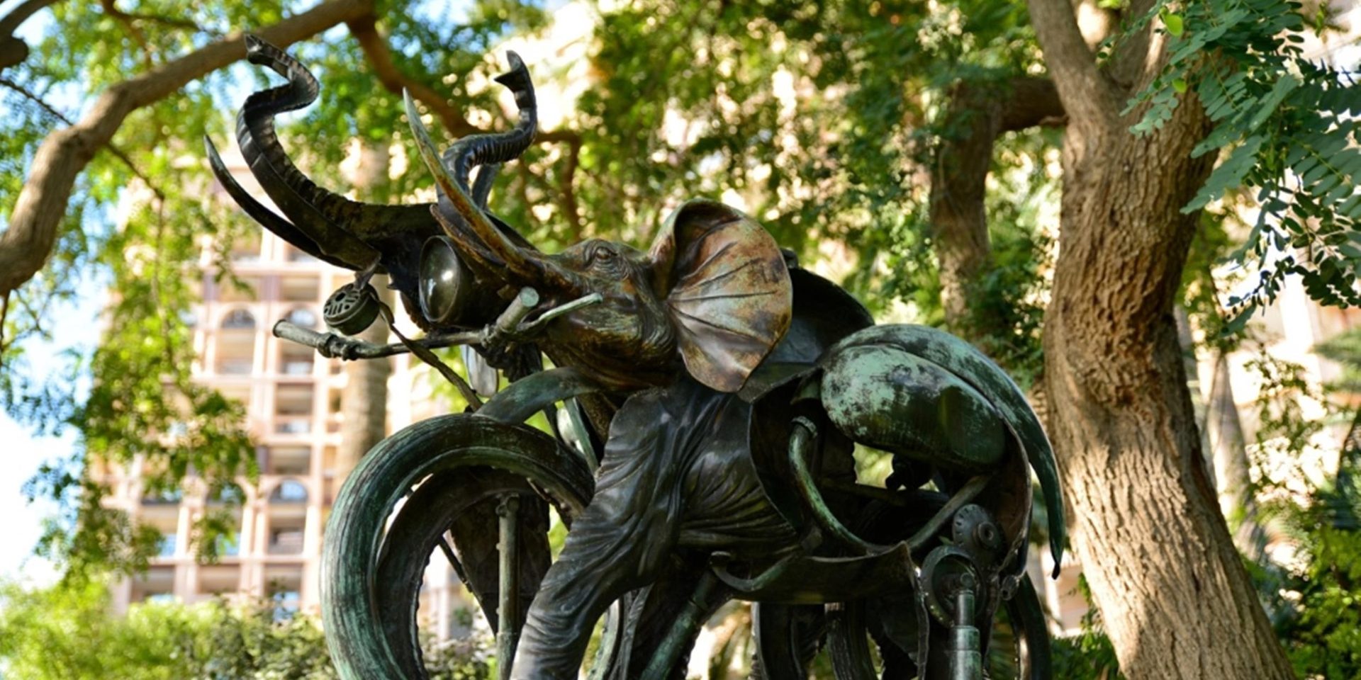 Automotive tire, Plant, Botany, Statue, Sculpture, Tree, Window, Sunlight, Wood, Wheel