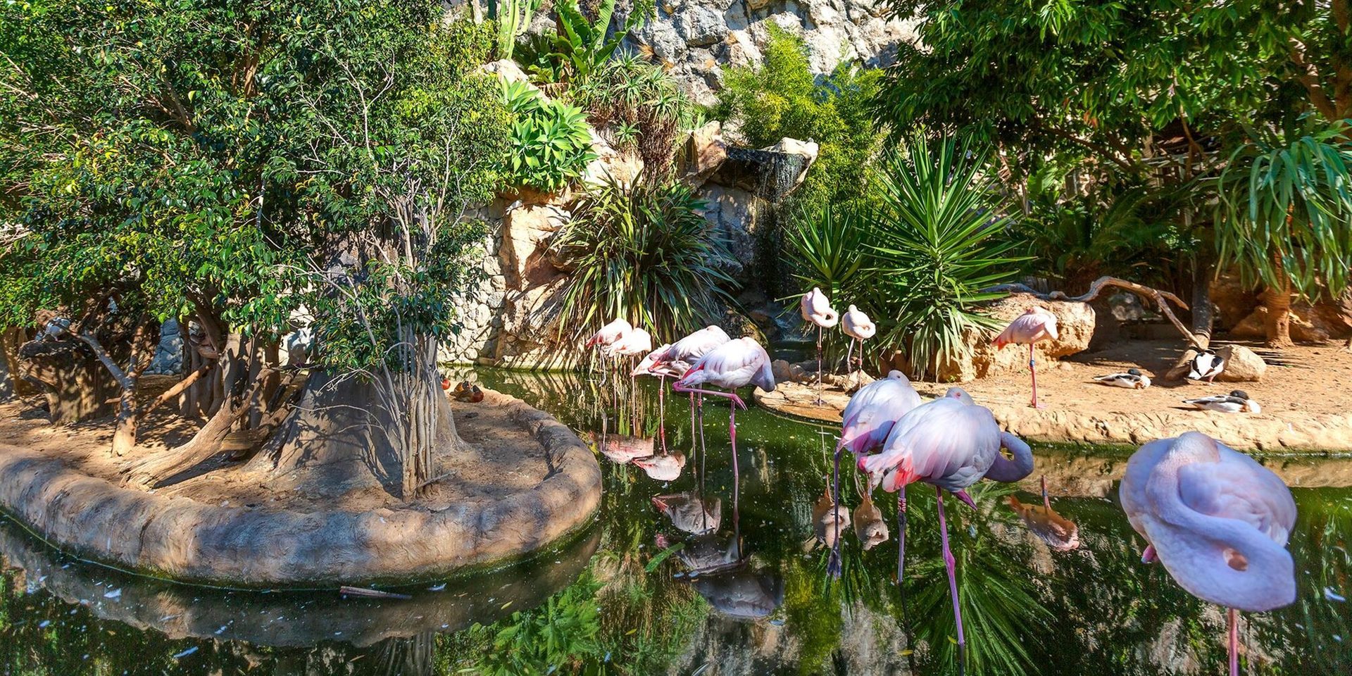 Plant community, Natural landscape, Lawn ornament, Botany, Vegetation, Water, Biome, Grass