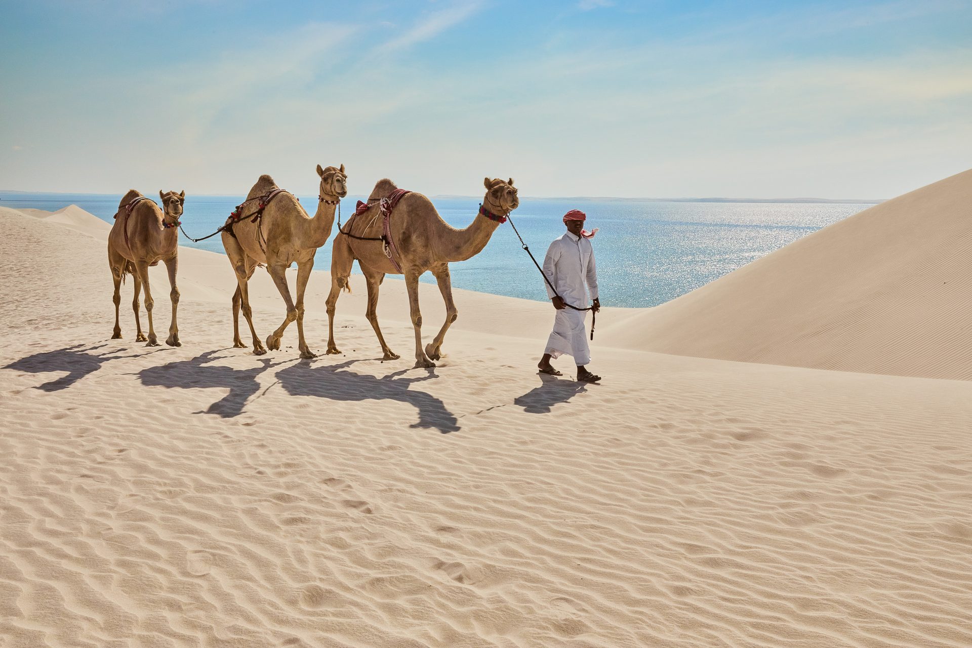 Working animal, Sky, Camel, Cloud, Water, Fawn
