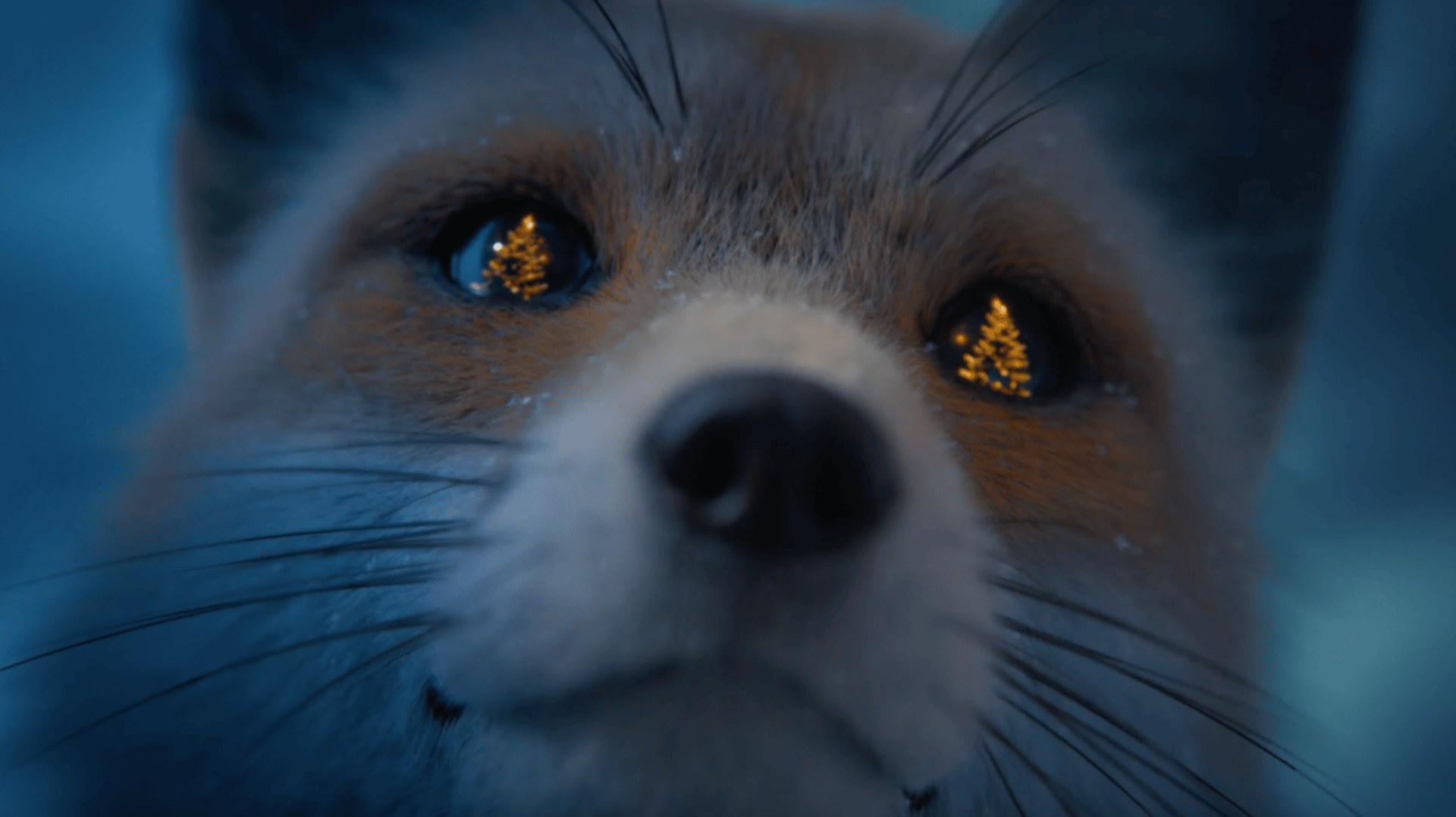 Close-up of a fox with glowing Christmas trees reflected in its eyes.