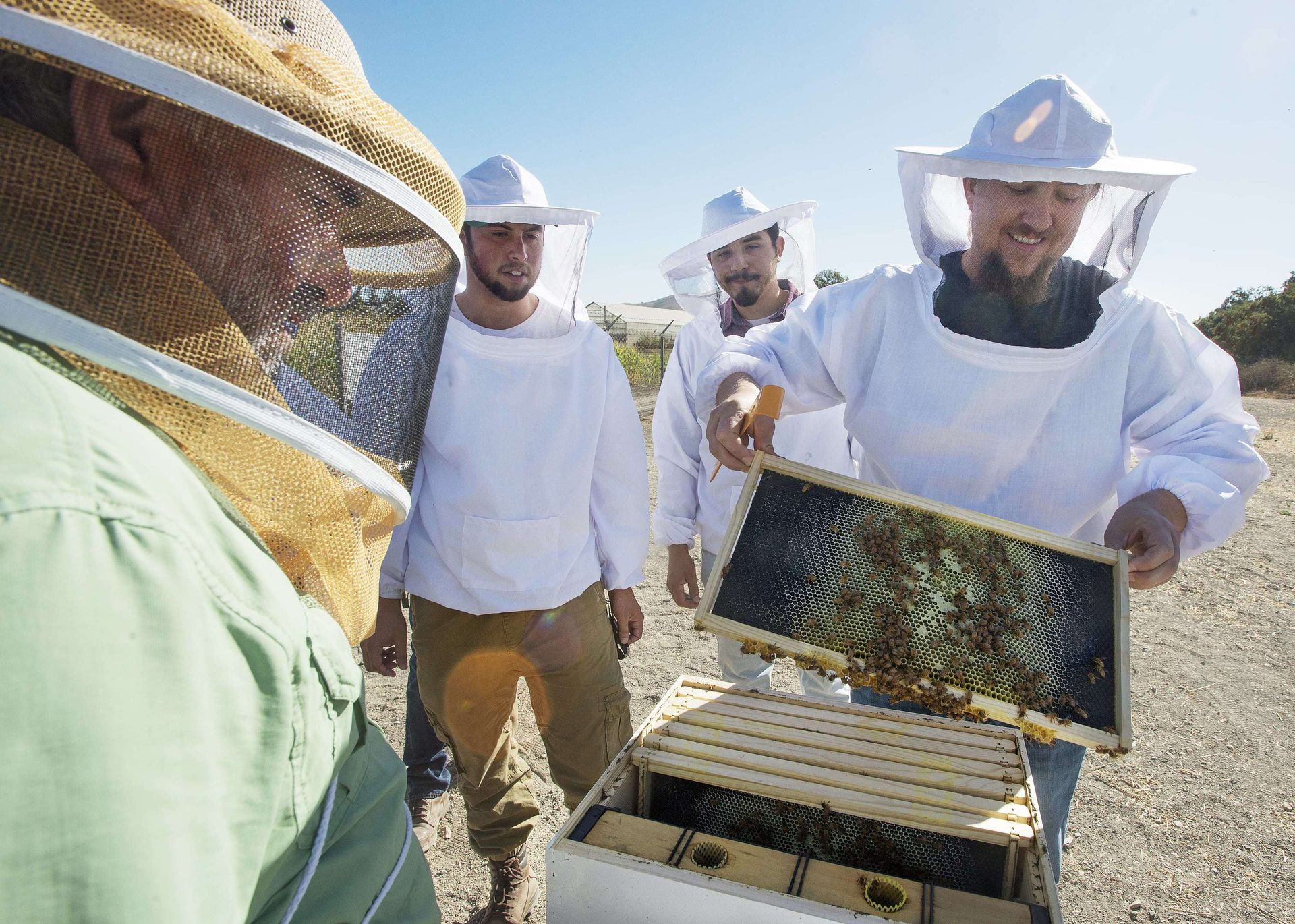 Sun hat, Beekeeper, Beehive, Apiary, Sky, Smile, Travel