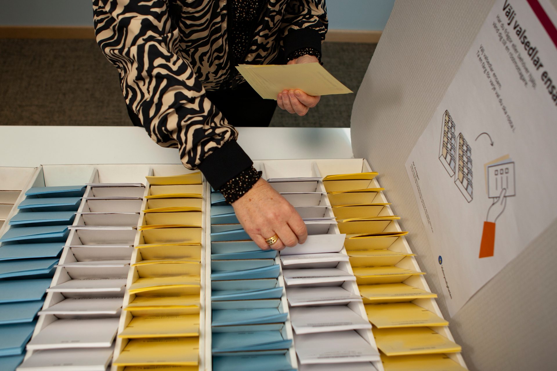 Hands selecting ballots from multi-colored trays at a polling station, with voting instructions.