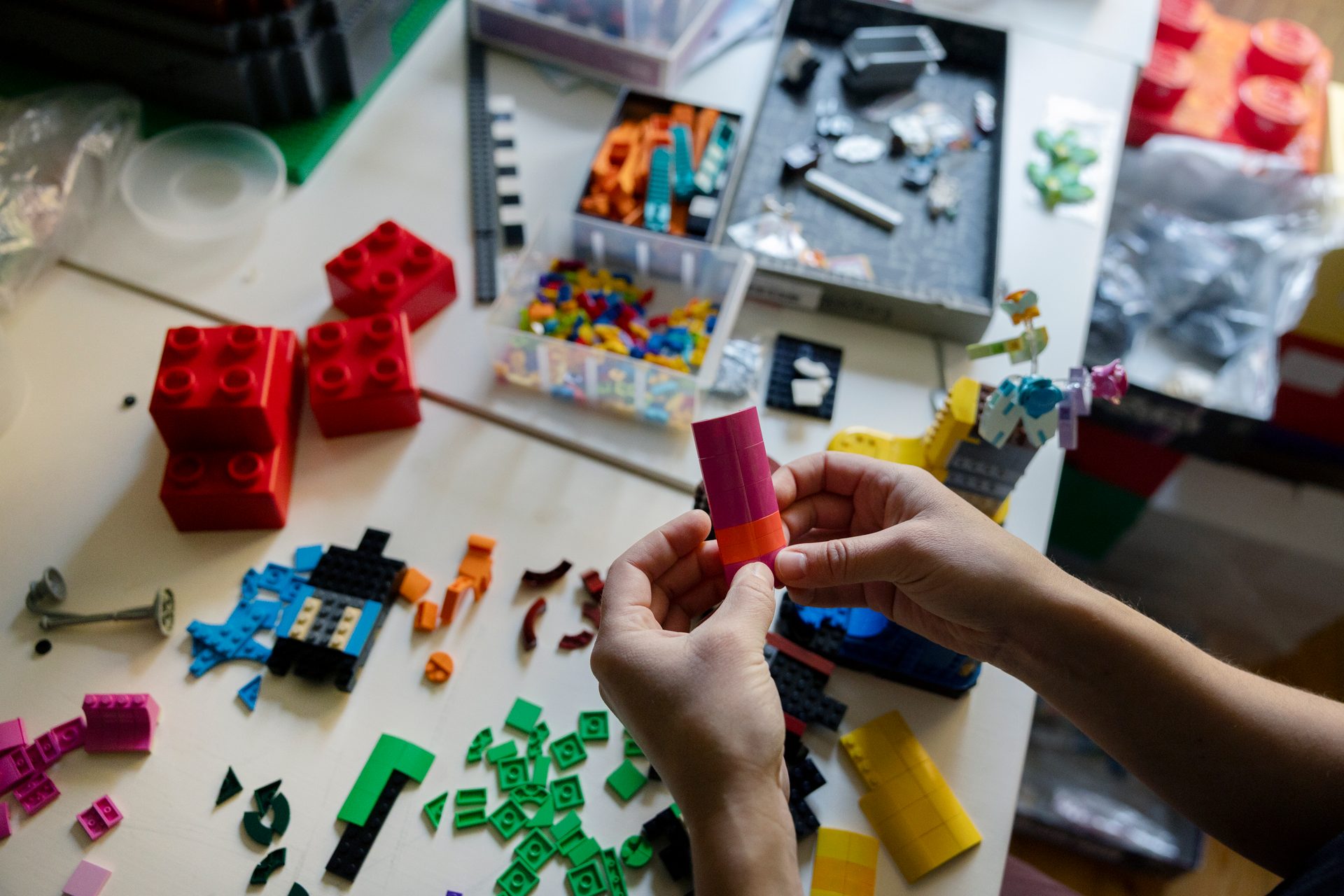 Hands building with colorful Lego bricks surrounded by many other pieces on a table.