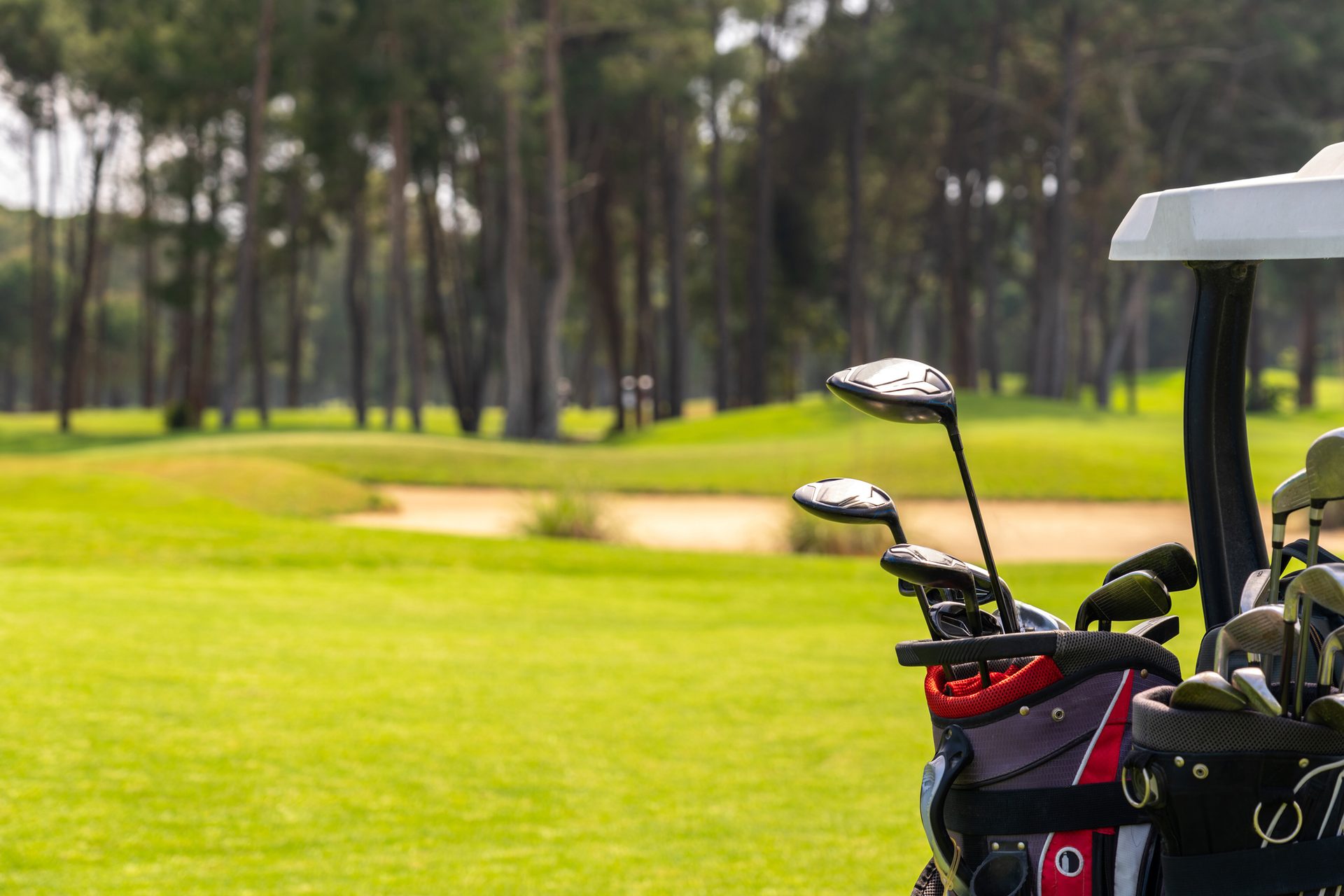 Golf bag, Professional golfer, Sports equipment, Plant, Tree