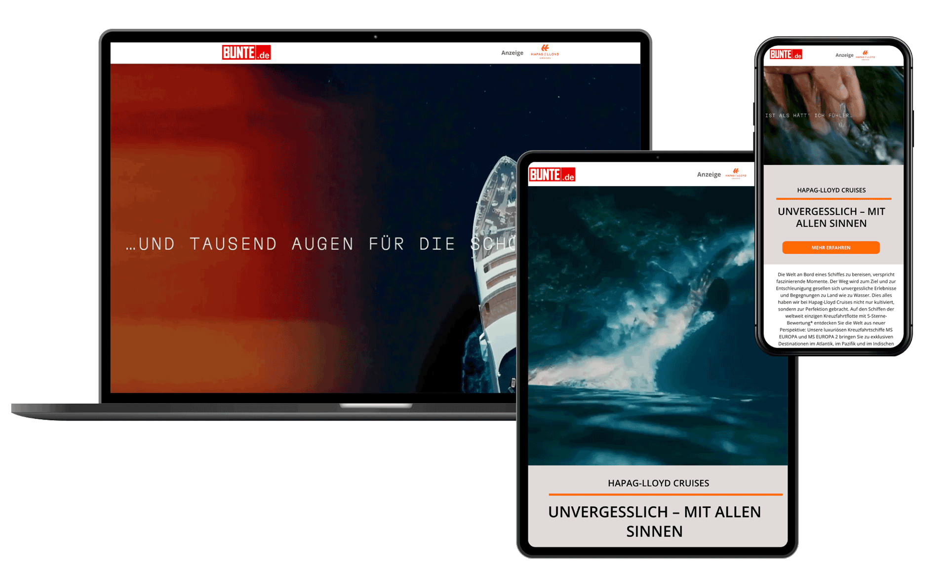 Display device, Personal computer, Advertising, Technology, Screenshot, Software, Website, Multimedia