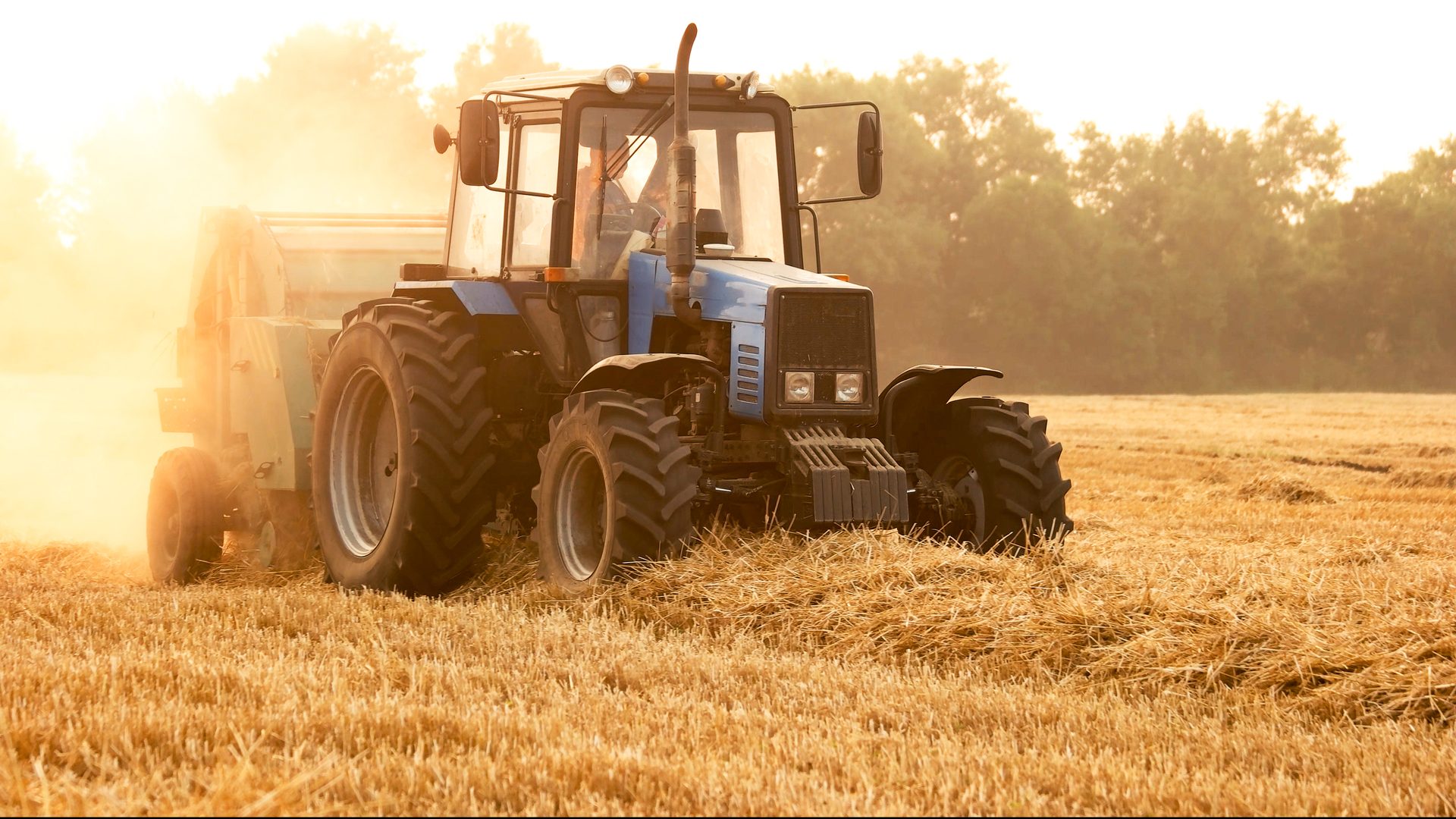 Automotive tire, Agricultural machinery, Wheel, Vehicle, Tractor, Harvester, Sky, Agriculture, Rolling