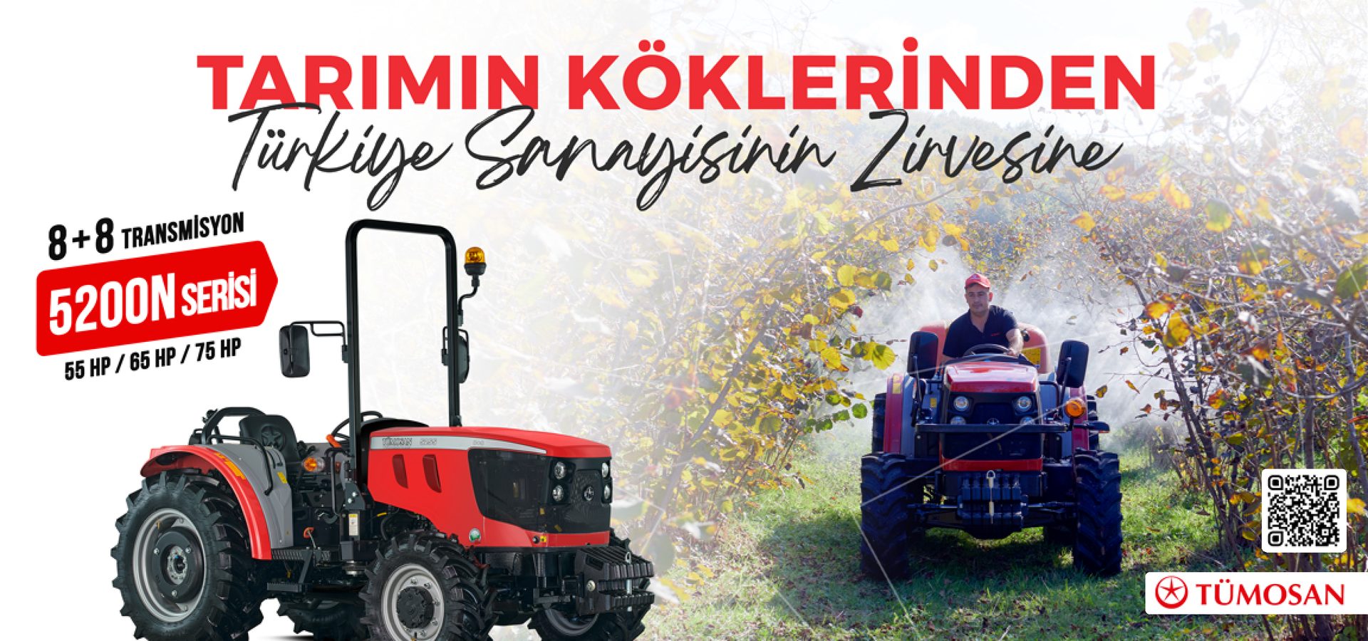 Mode of transport, Motor vehicle, Automotive tire, Wheel, Tread, Plant, Font