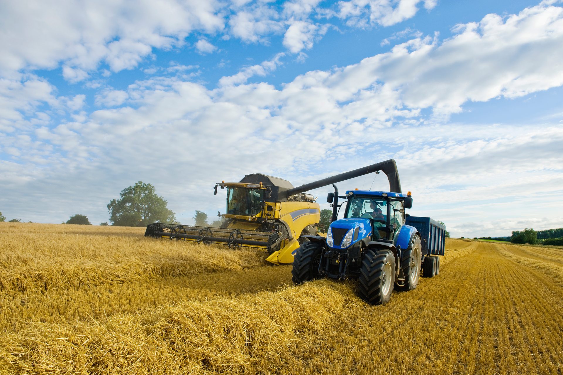Agricultural machinery, Automotive tire, Sky, Wheel, Cloud, Vehicle, Tractor, Plant, Agriculture