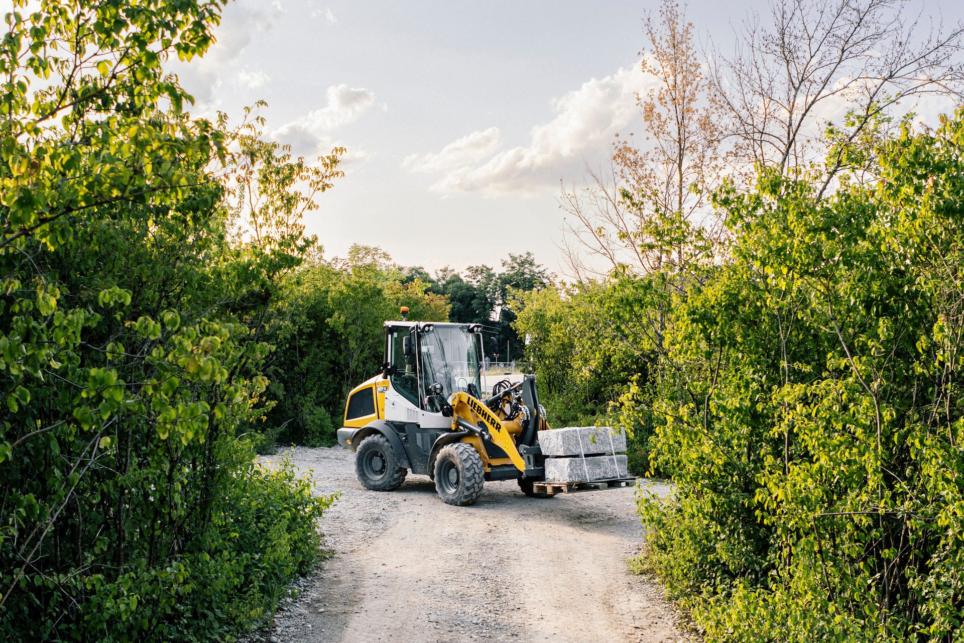 Motor vehicle, Road surface, Tire, Plant, Wheel, Cloud, Sky, Tree, Asphalt