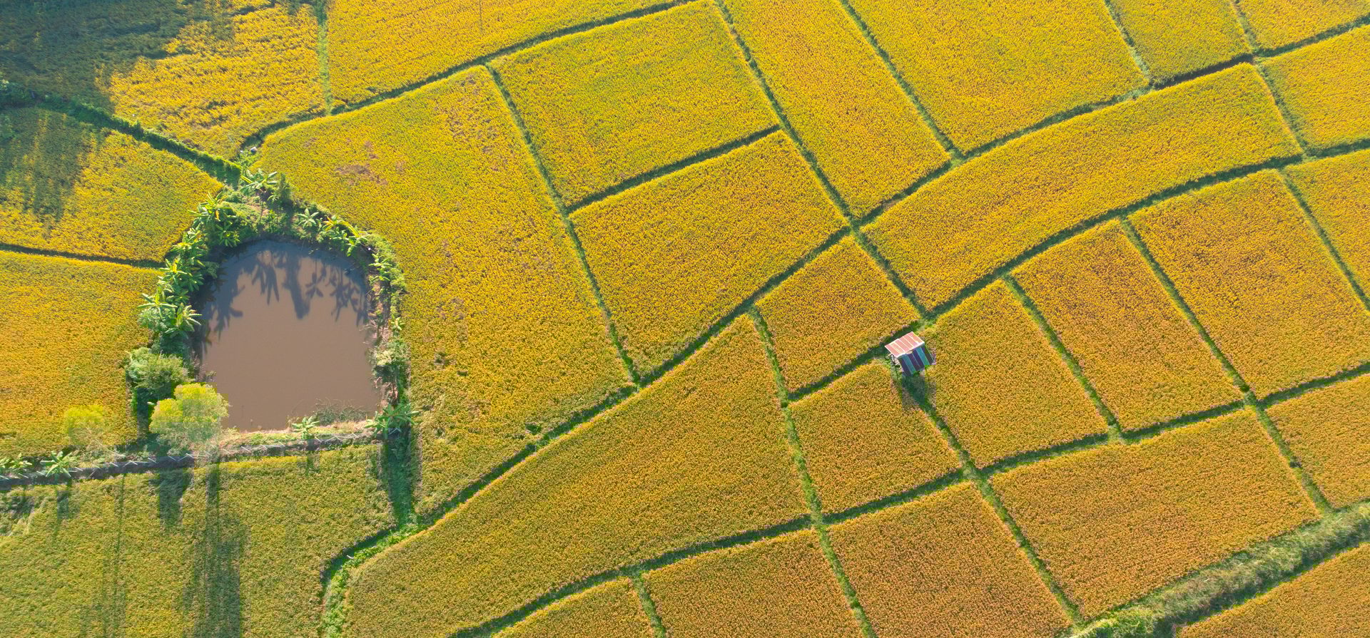 Grass, Rectangle, Slope