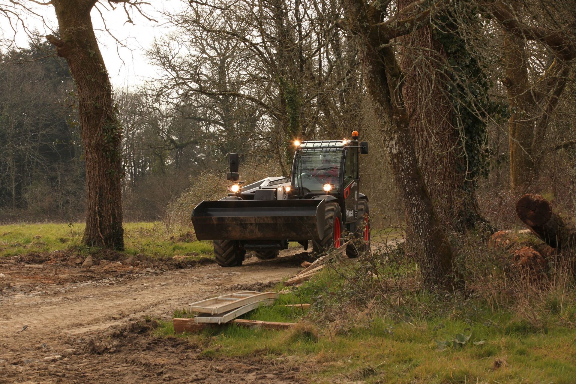 Automotive tire, Motor vehicle, Plant, Tree, Wheel, Wood, Grass, Trunk