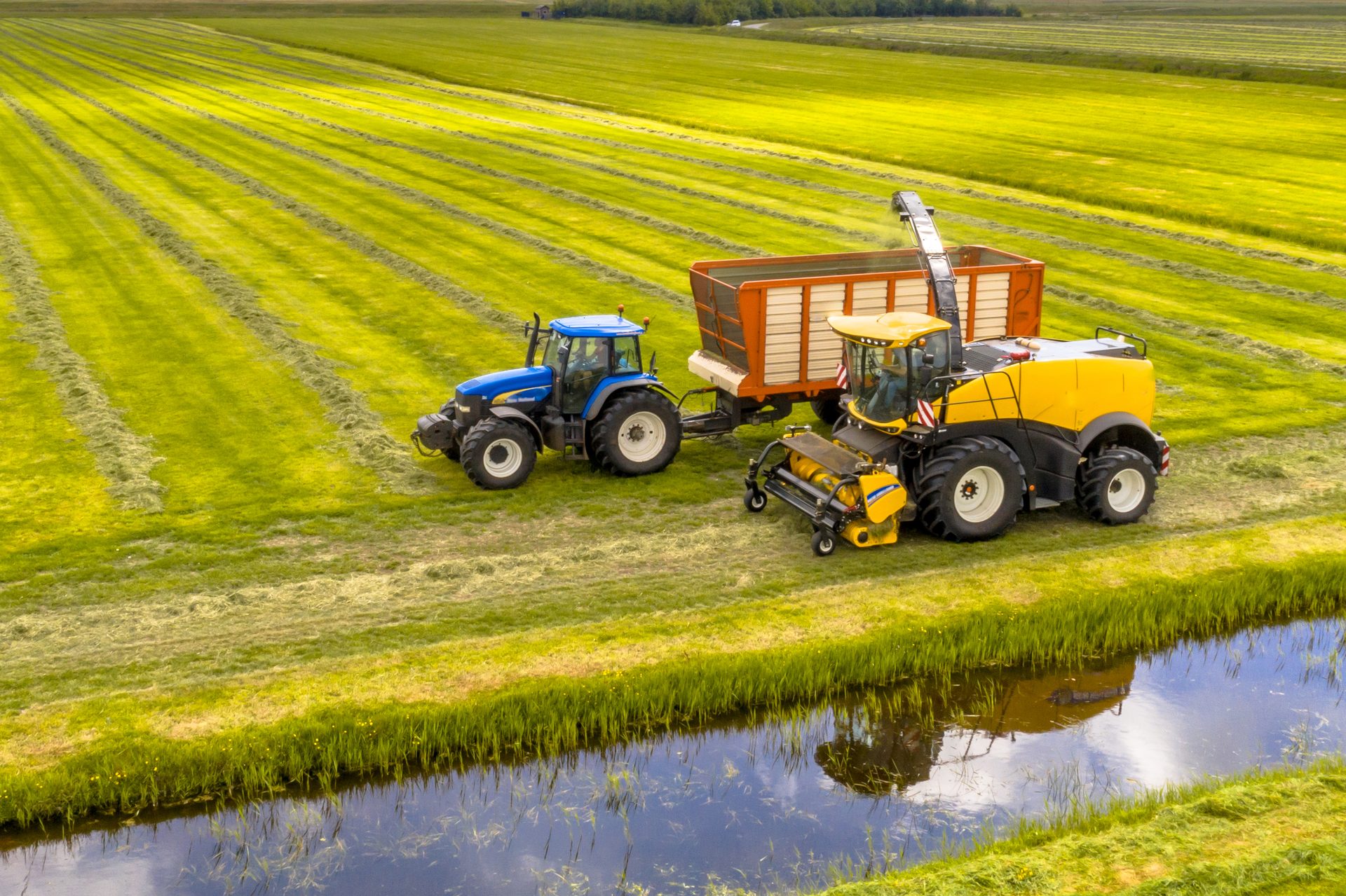 Automotive tire, Motor vehicle, Agricultural machinery, Wheel, Water, Tractor, Plant, Grass