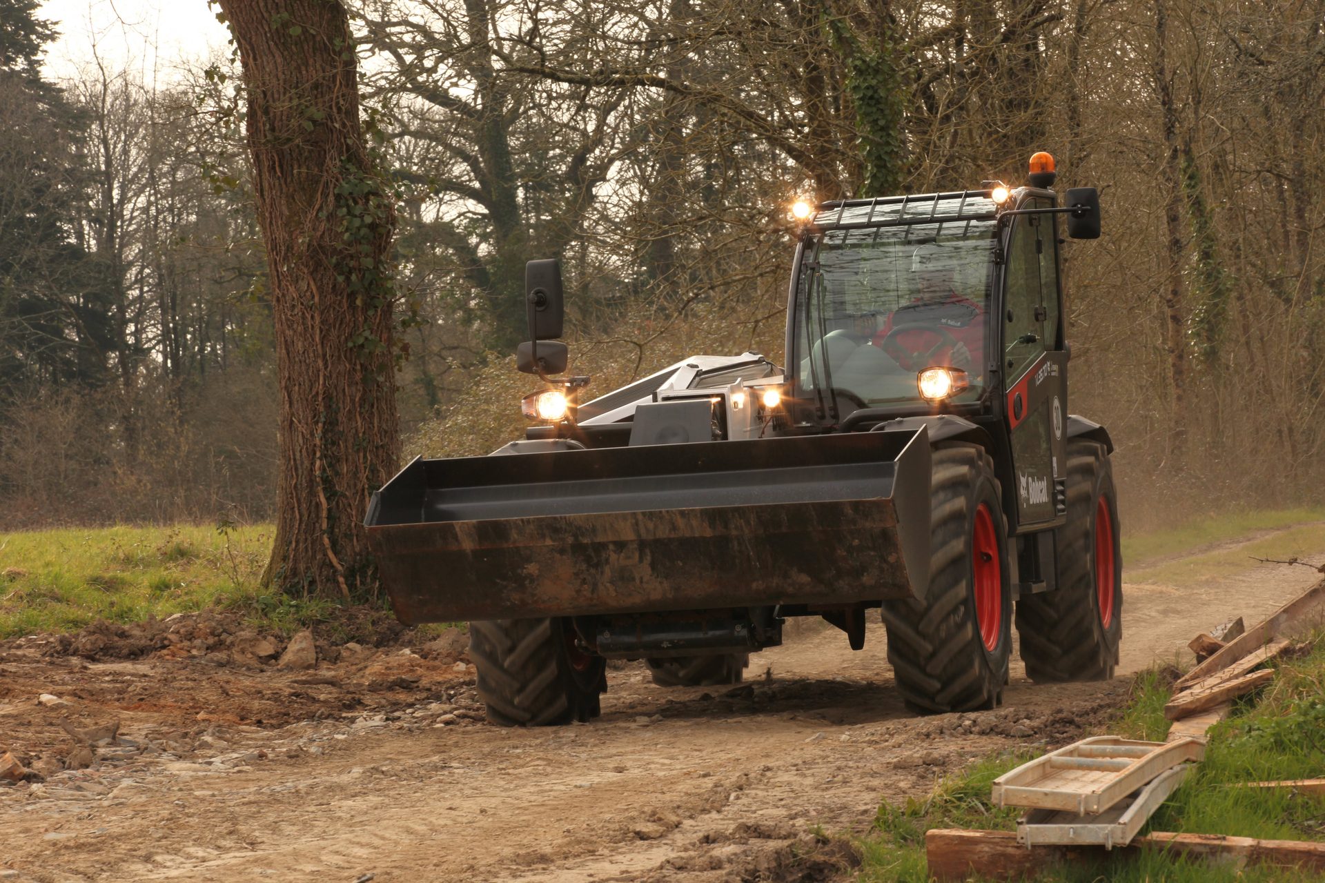 Land vehicle, Automotive tire, Wheel, Plant, Tread, Tree, Wood