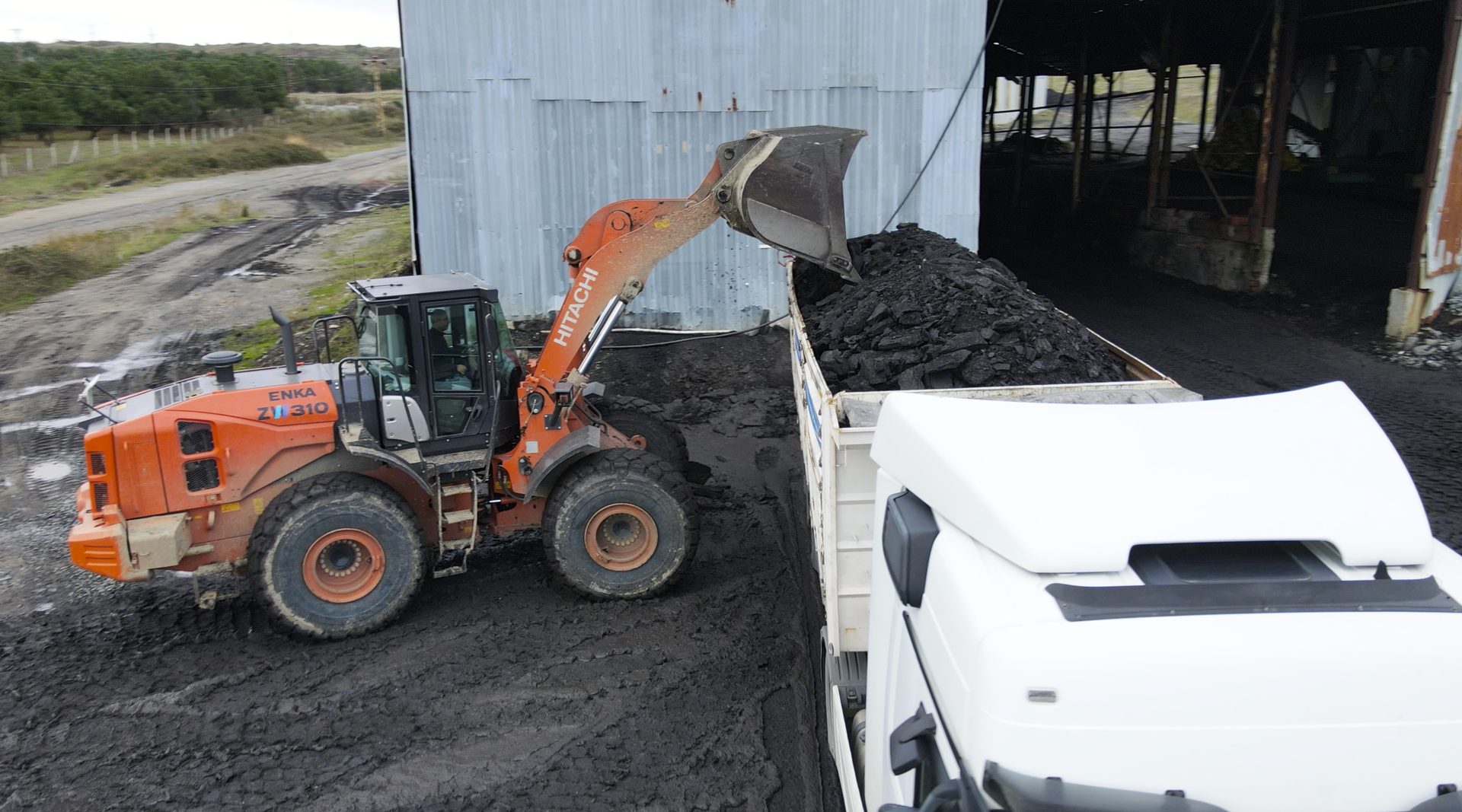 Automotive tire, Motor vehicle, Road surface, Wheel, Tread, Asphalt, Plant