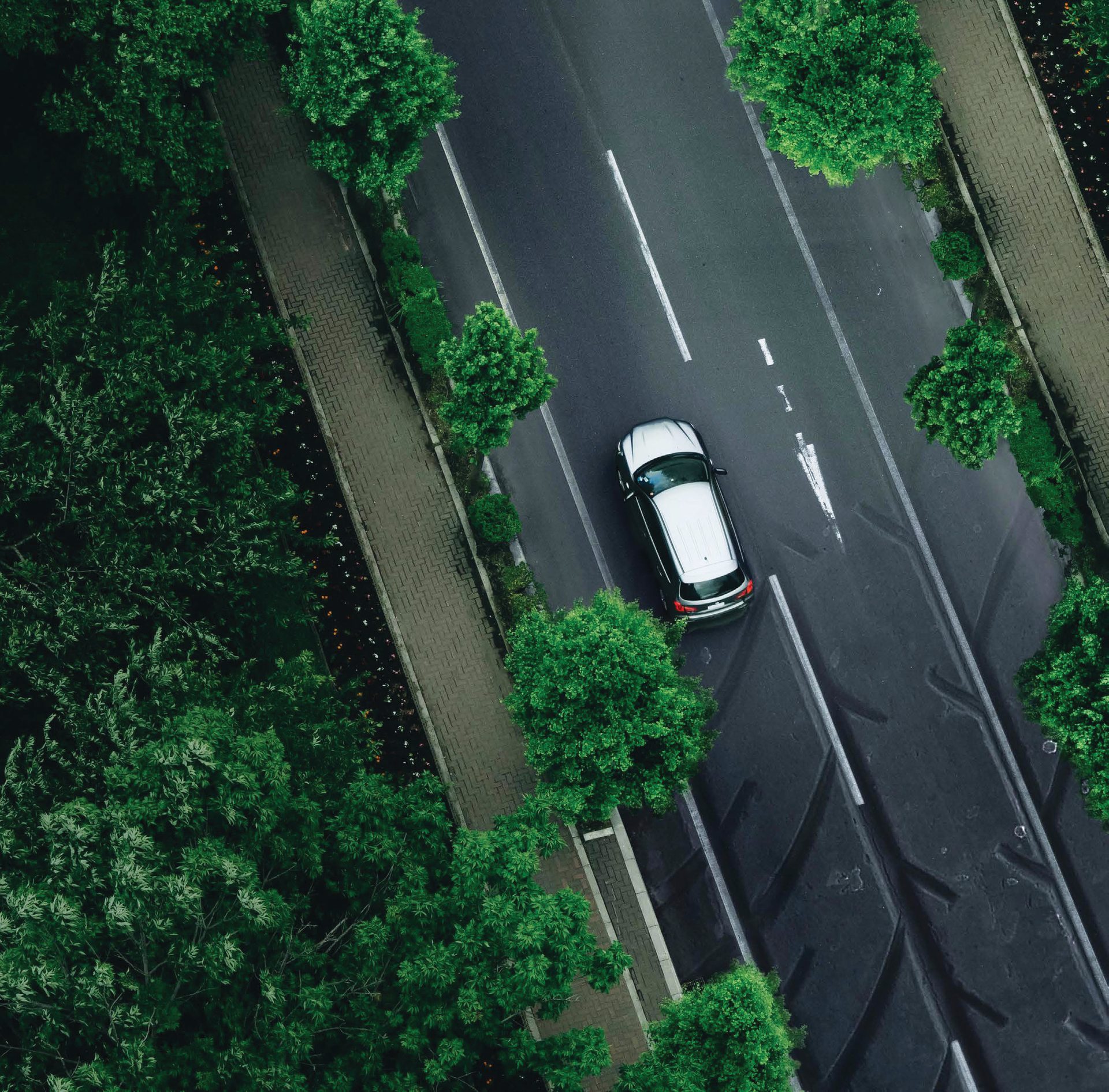 Mode of transport, Motor vehicle, Automotive lighting, Road surface, Plant, Car, Green, Building, Asphalt