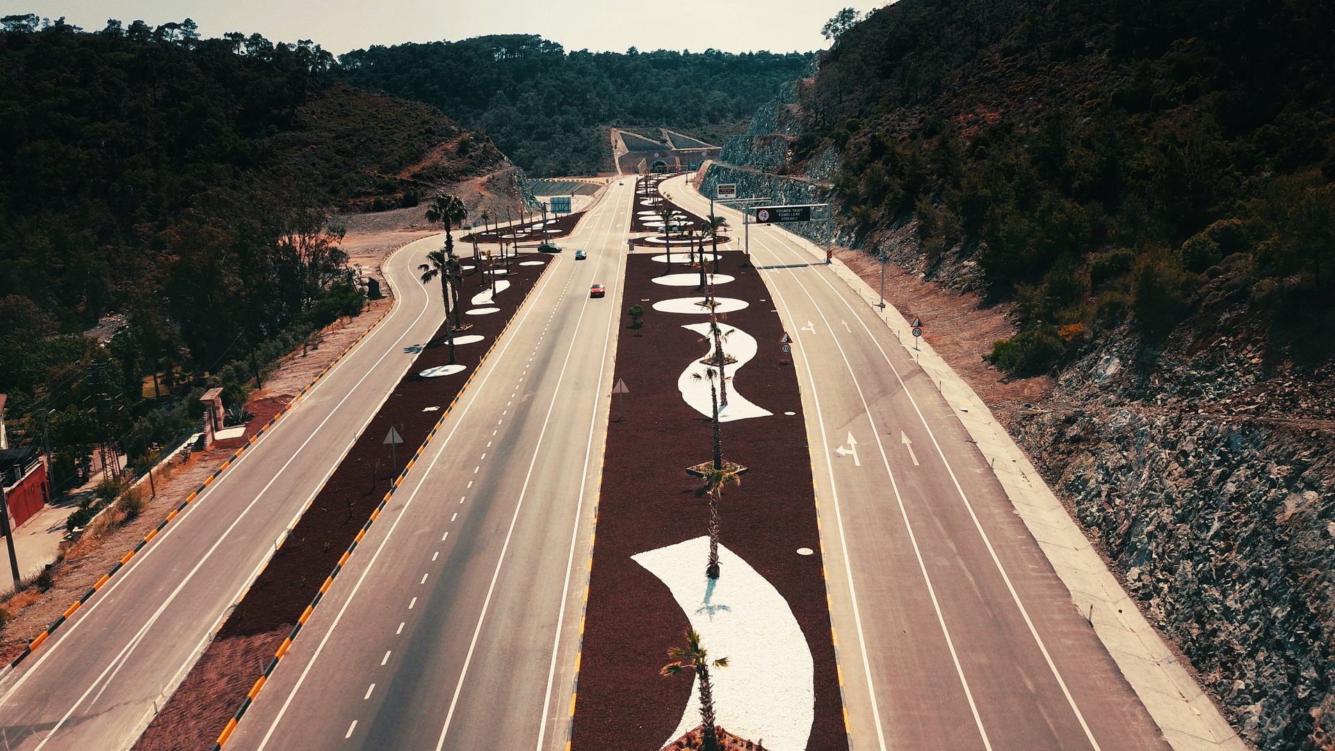 Mode of transport, Road surface, Sky, Plant, Tree, Infrastructure, Asphalt, Thoroughfare, Tar, Line