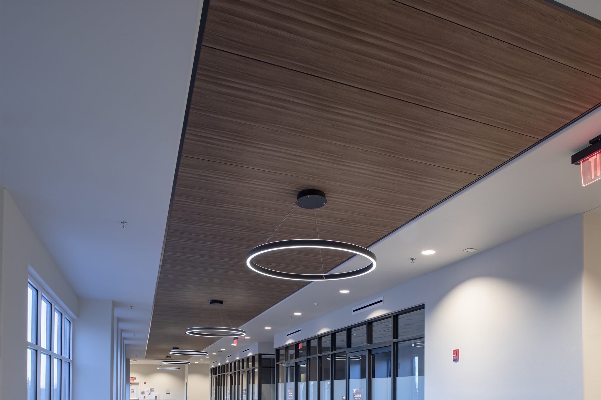 View of dark wood finish ceiling with row of ring-shaped lighting fixtures.