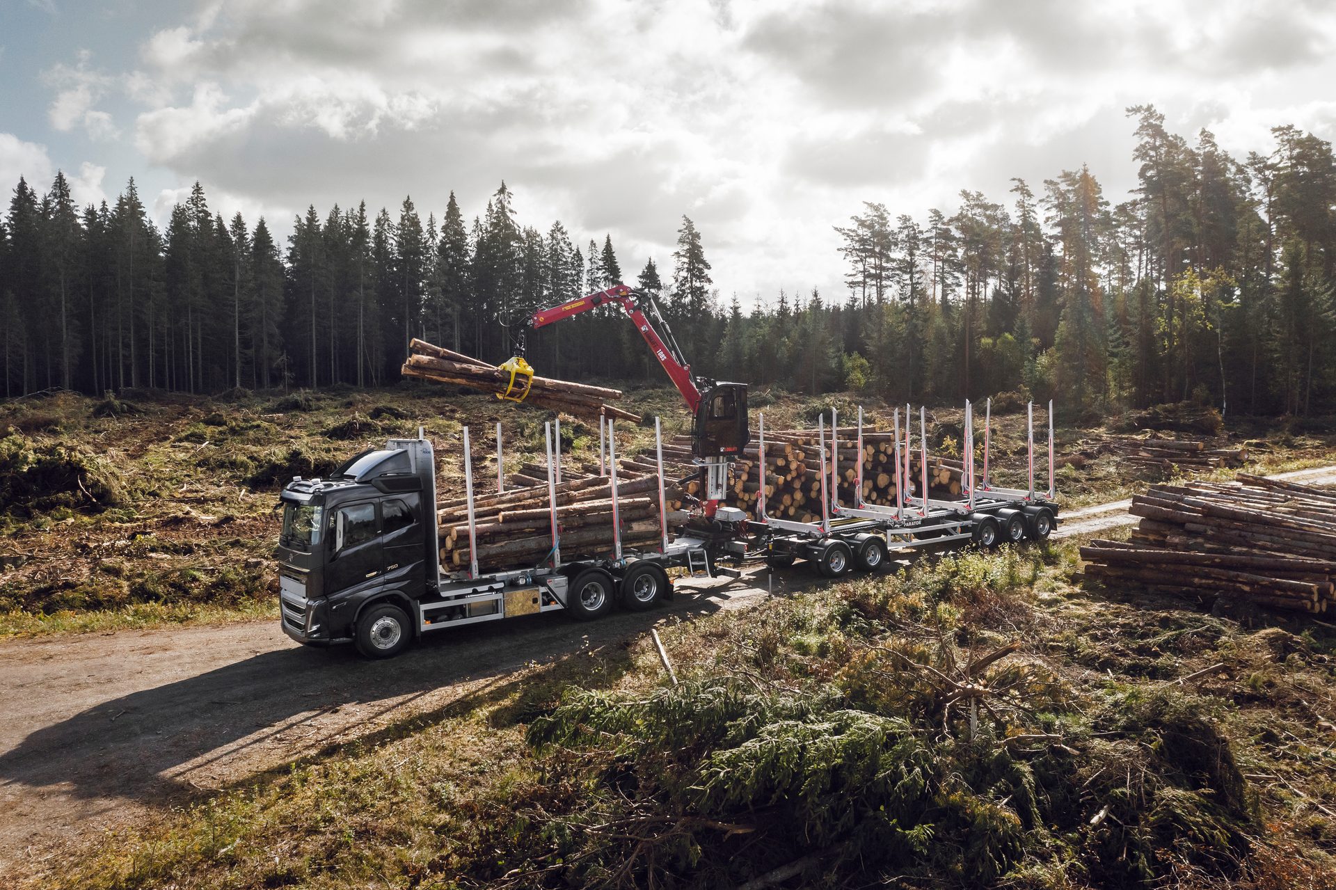 A logging truck uses a red crane to load timber onto its trailer in a cleared forest area.