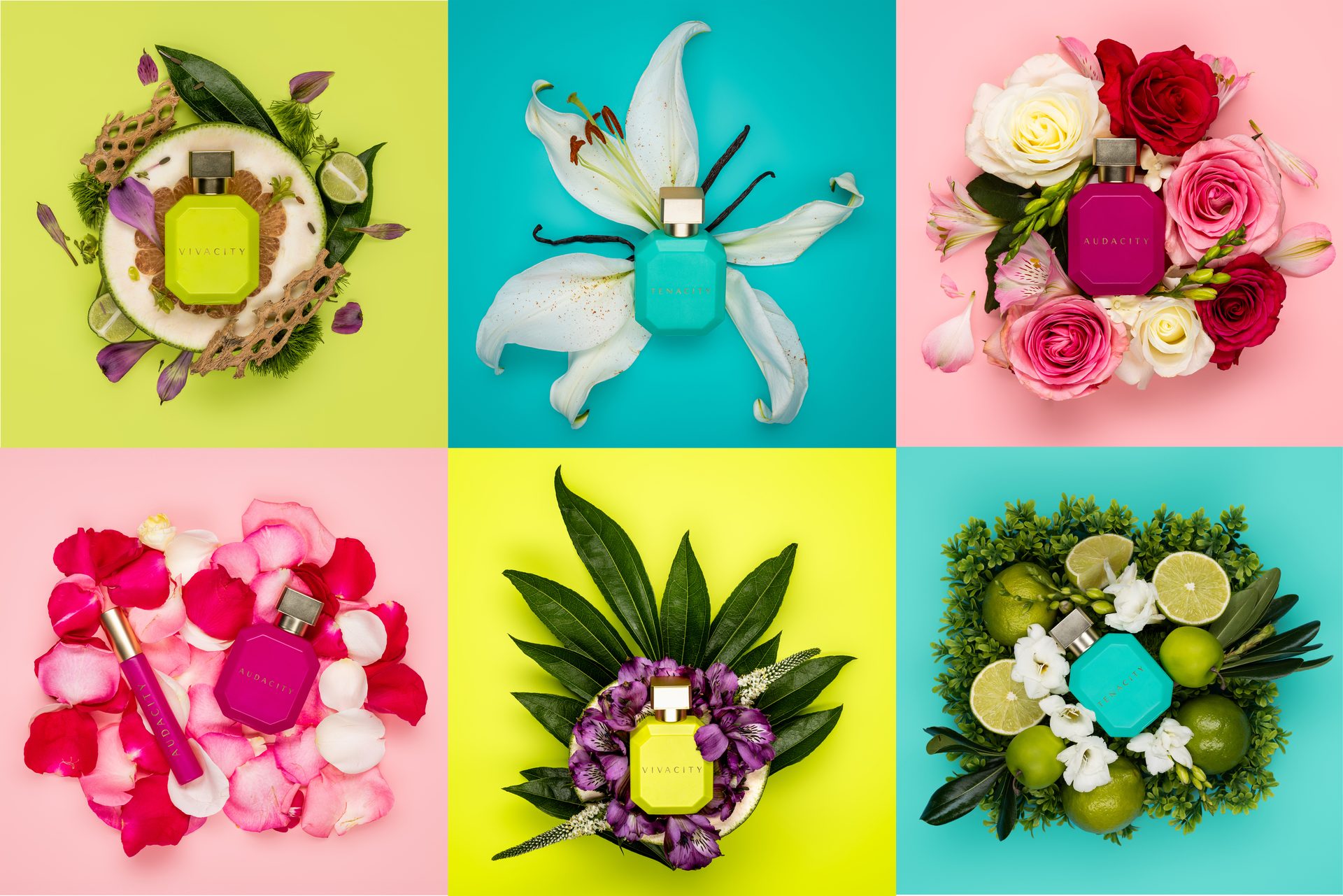 Creative arts, Flower, Petal, Product, Botany, Yellow, Pink, Plant, Font