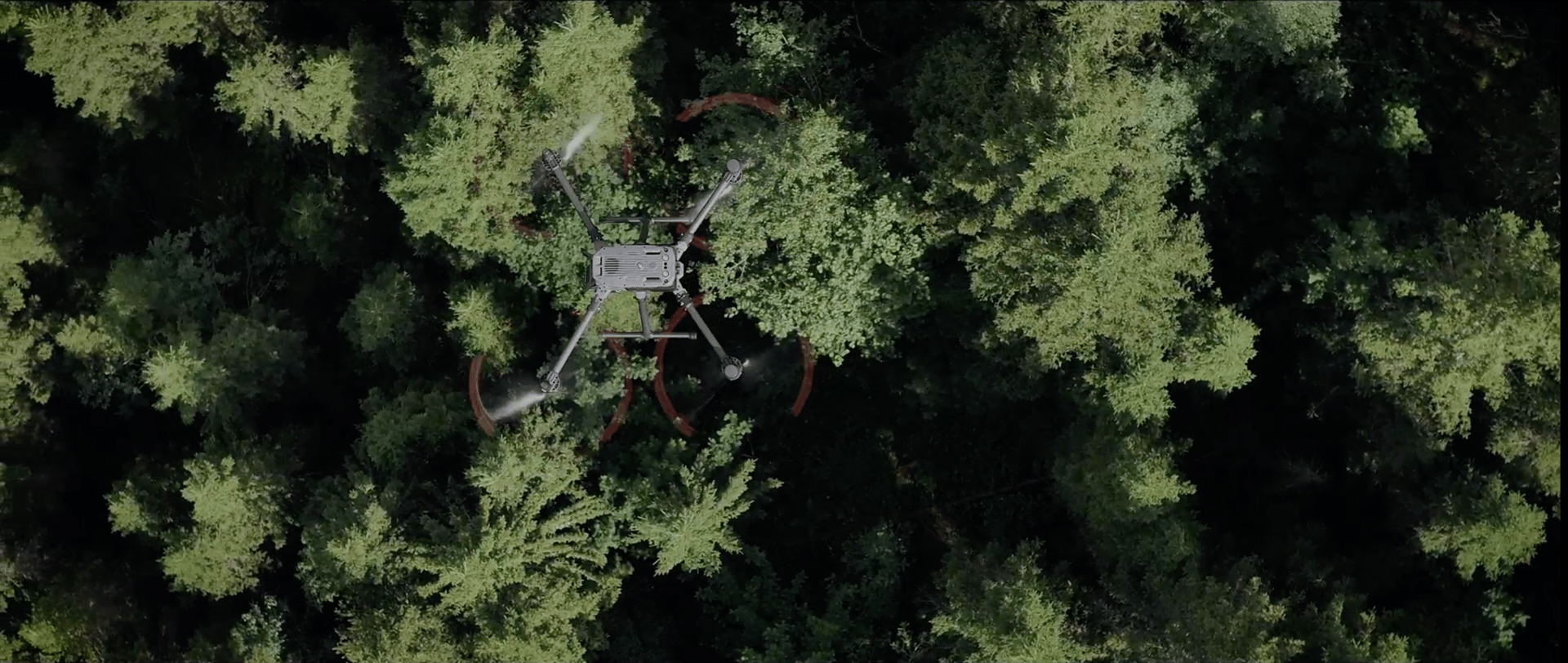 Drone over skog