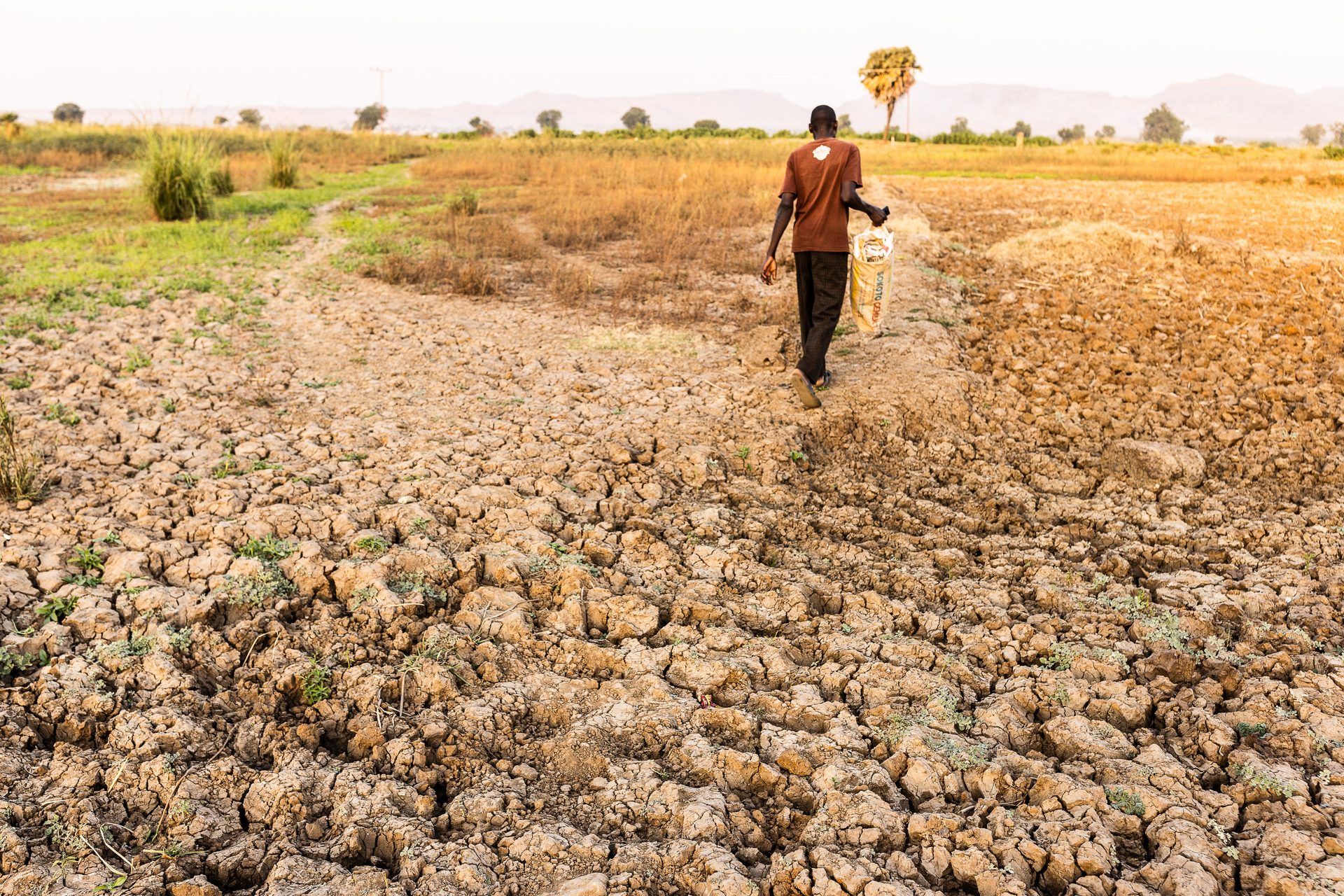 A person walks through a severely cracked, dry field under a clear sky, symbolizing drought and hardship.