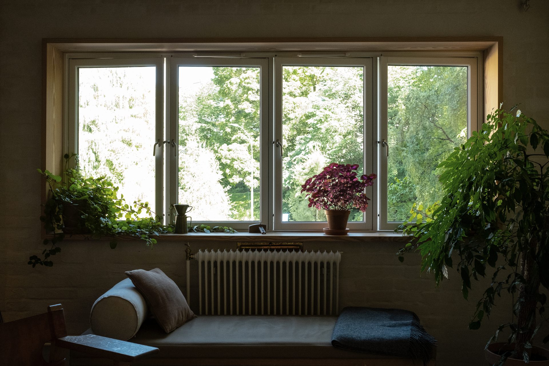 Interior design, Plant, Property, Window, Building, Fixture, Wood, Shade, Comfort, Rectangle