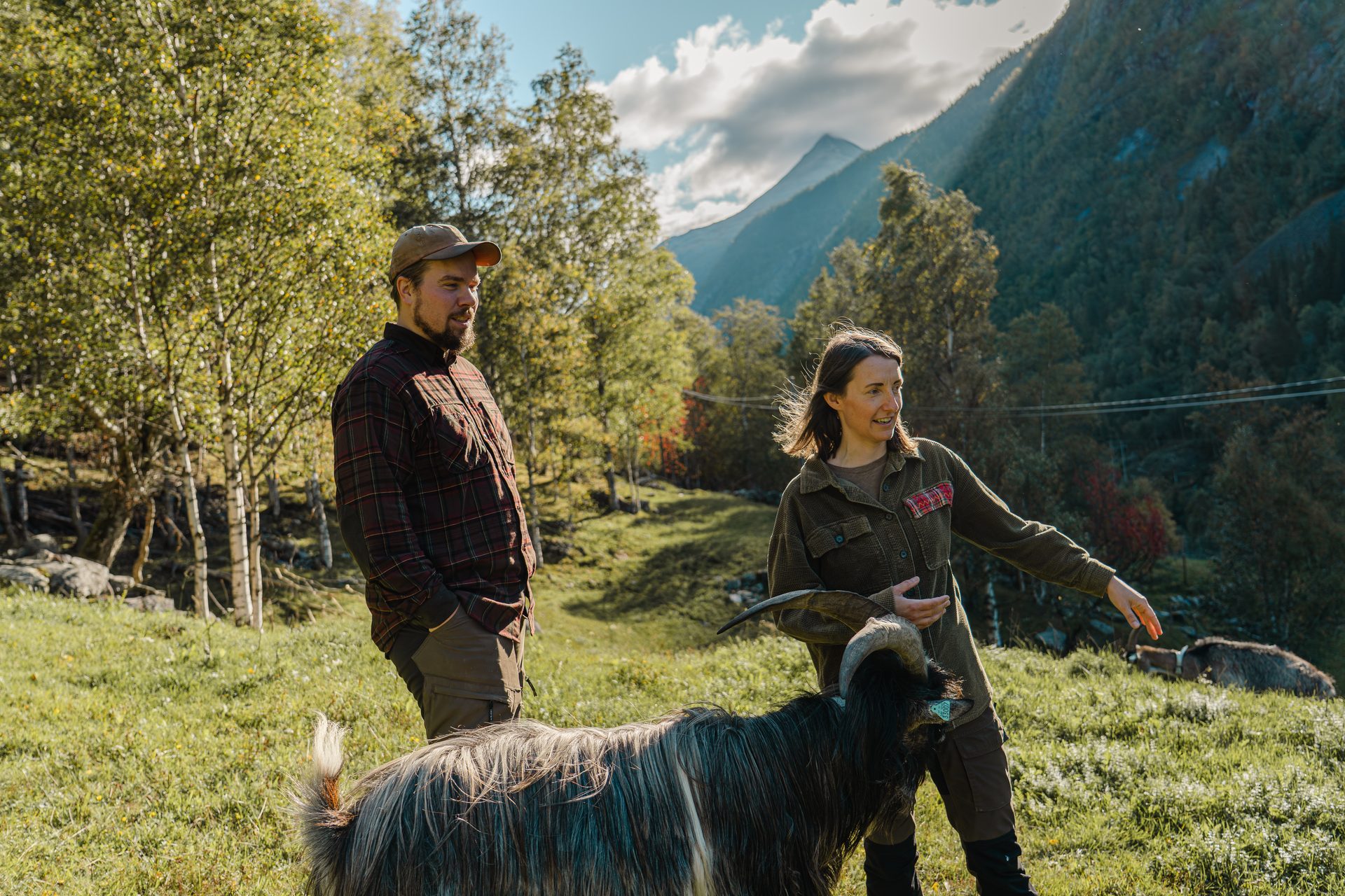 Man and woman with a long-haired goat in a sunny mountain field.