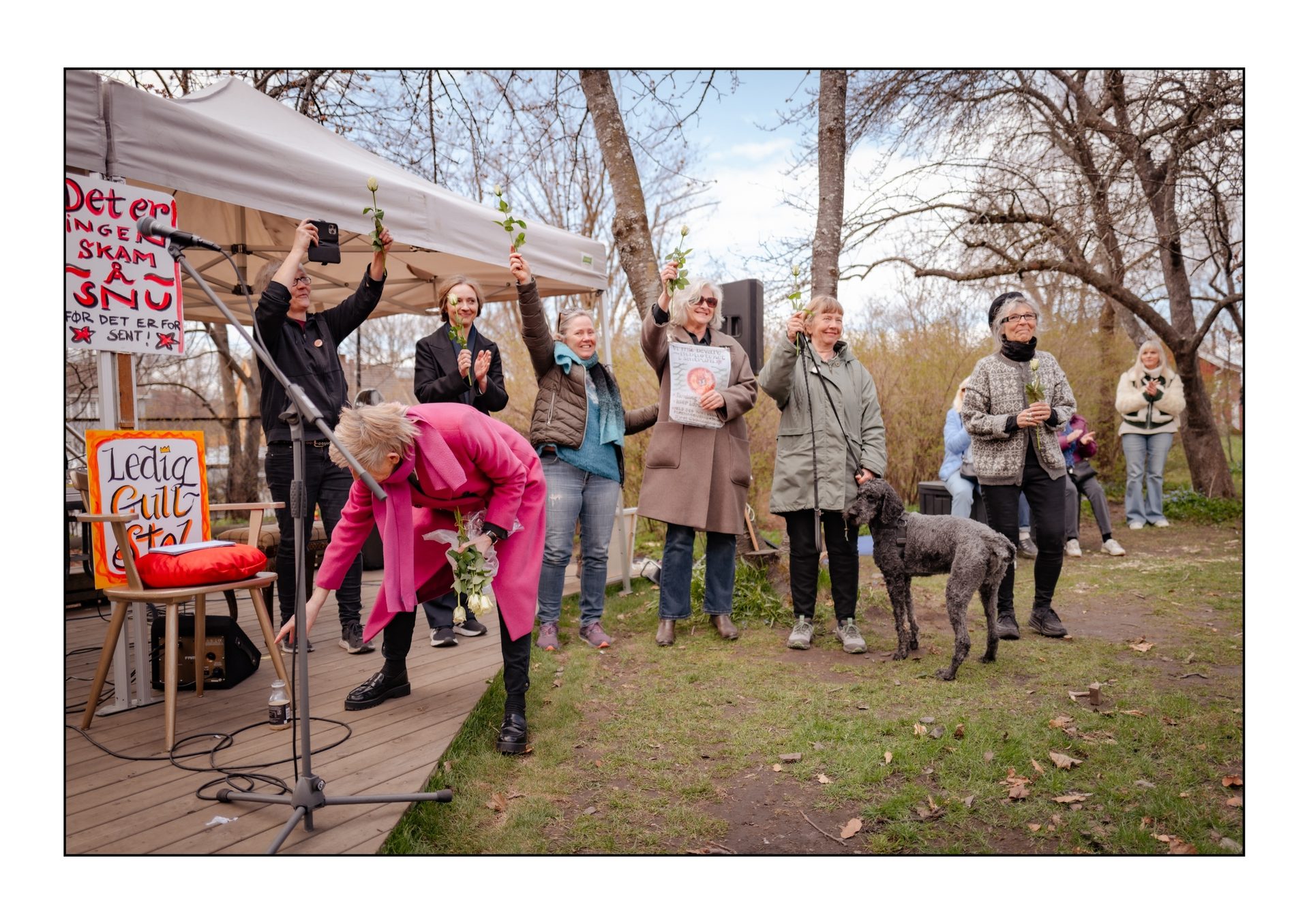 Dog, Trousers, Carnivores