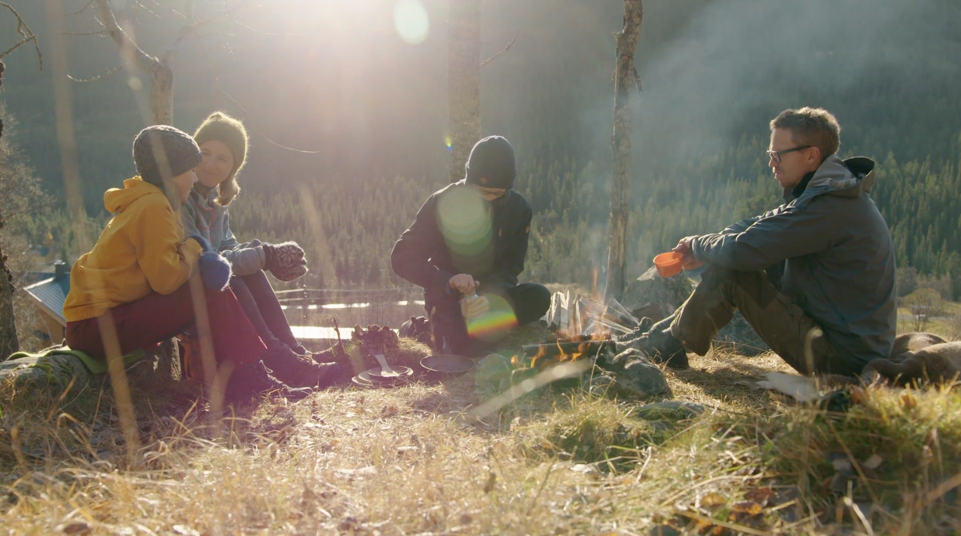 Four people sit around a campfire in a sunny forest, one cooking.
