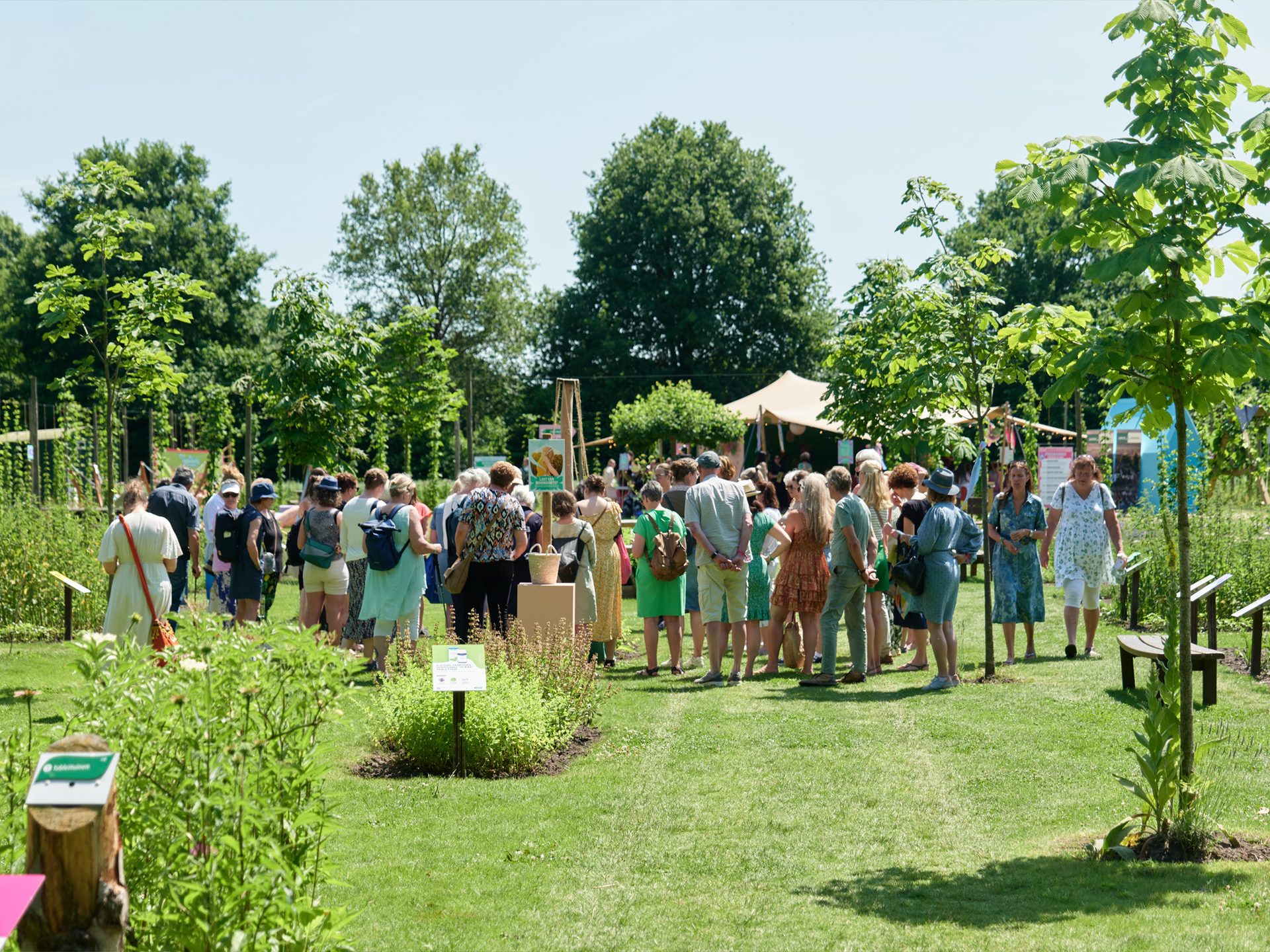 A large group of people gather outdoors in a sunny park or garden setting, surrounded by lush greenery.