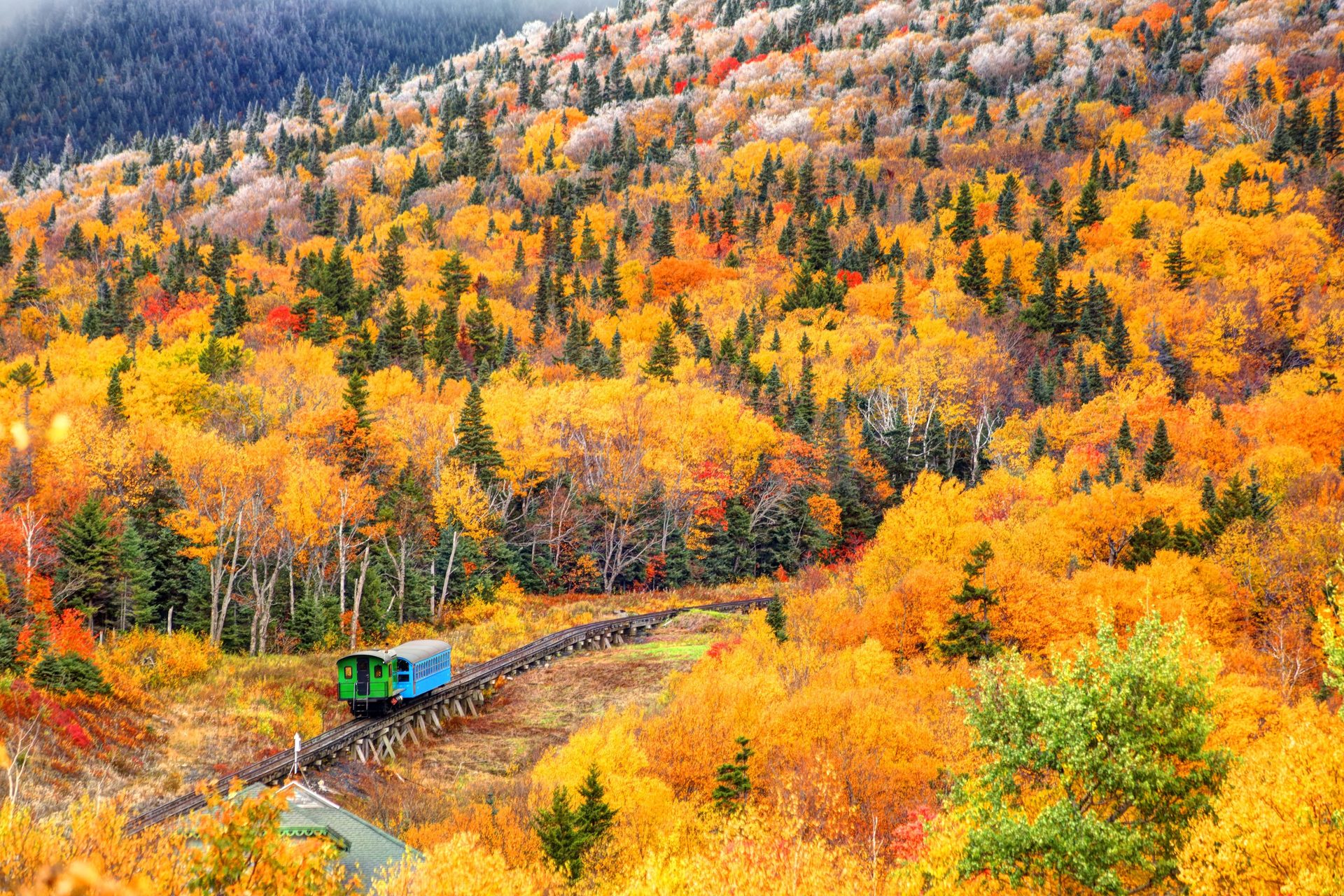 Rolling stock, Rail transport, Forest, Train