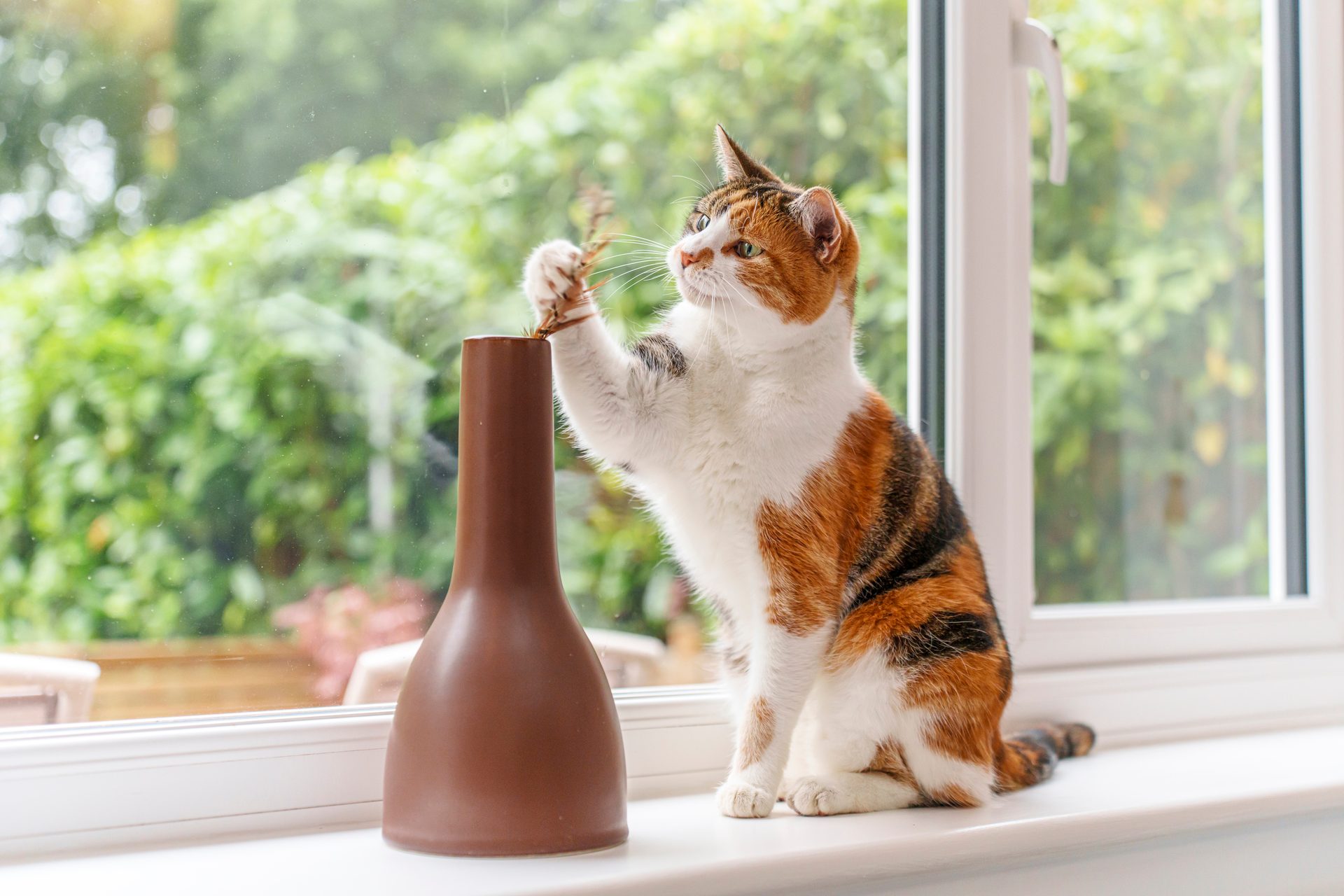 Calico cat playing with a small plant in a brown vase on a window sill, with a green background.