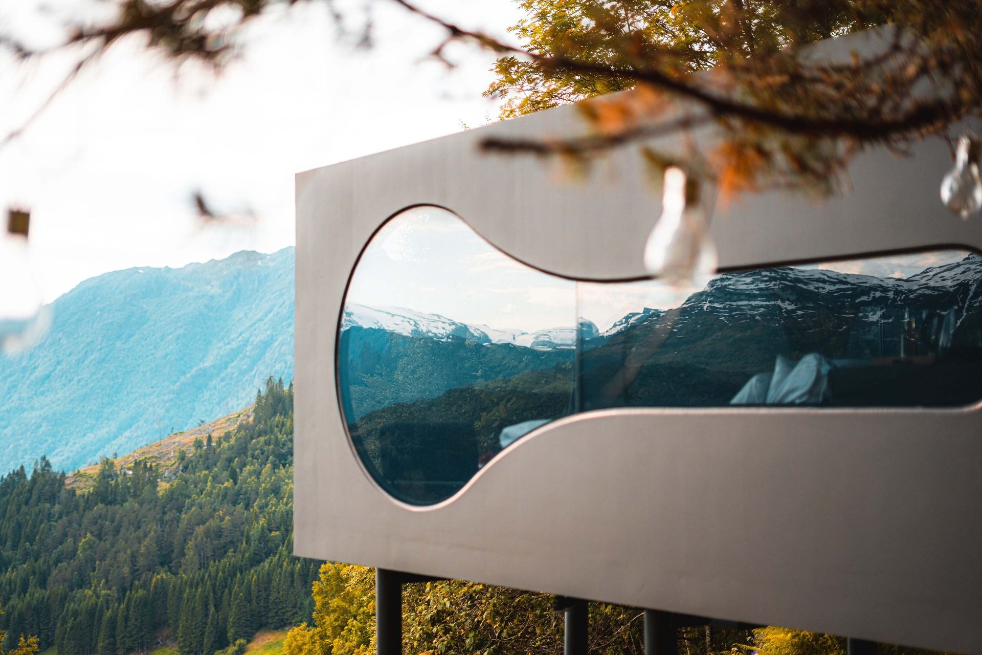 Woody plant, Sky, Leaf, Tree, Wood, Sunlight, Yellow