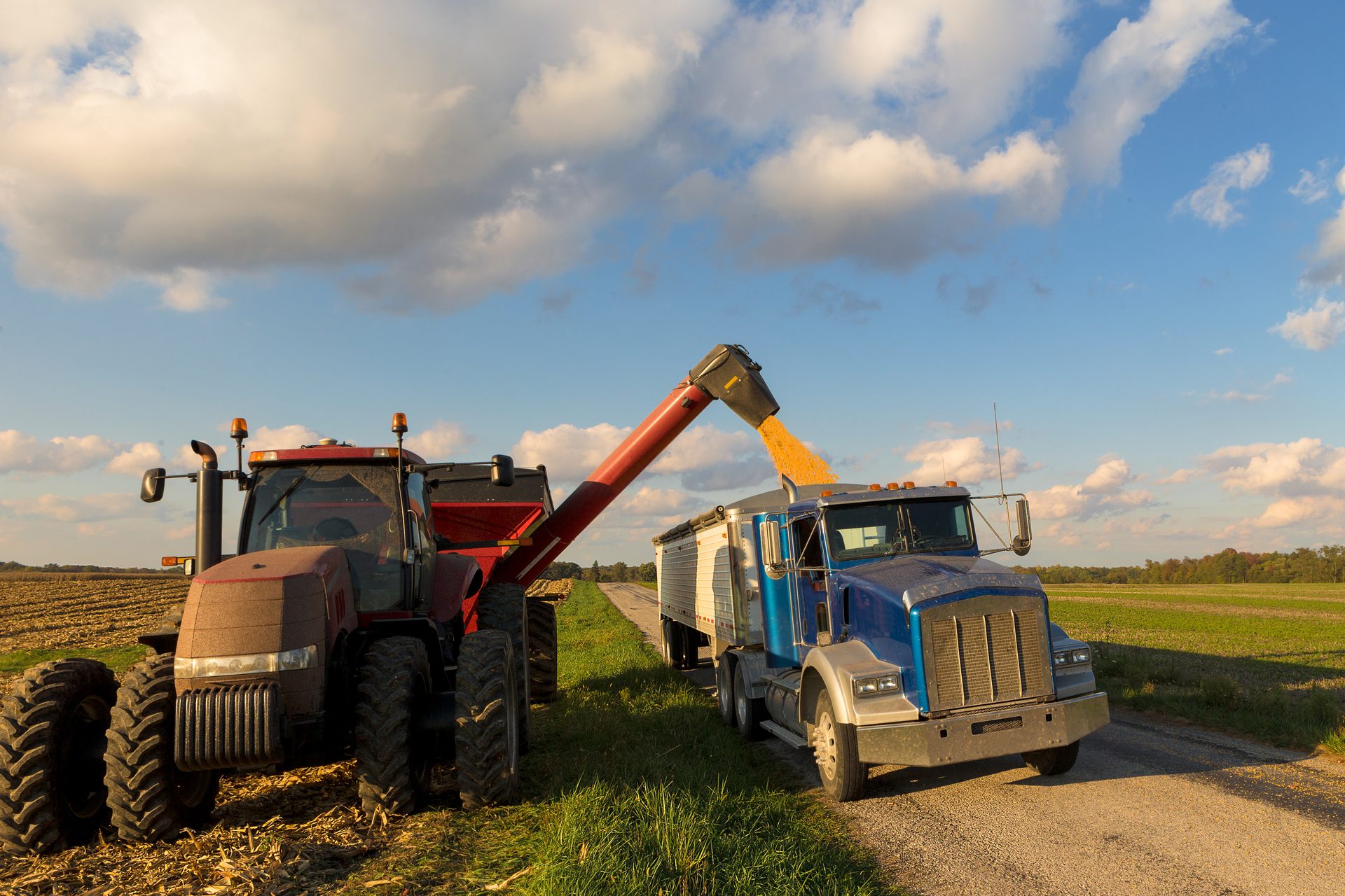 A red tractor unloads corn into a blue semi-truck on a dirt road in a field.