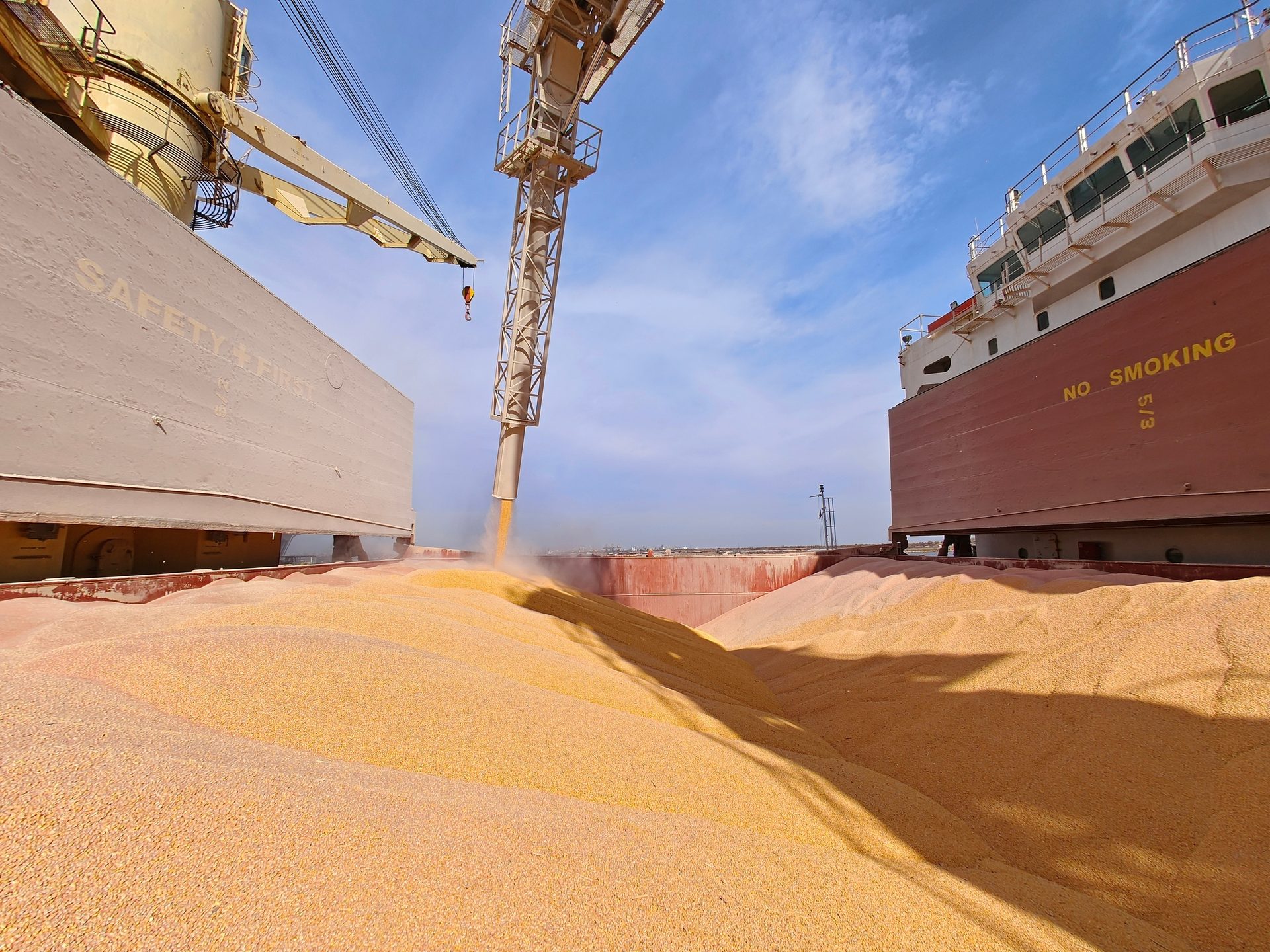 Bulk carrier being loaded with golden grain via a large chute. 'SAFETY FIRST' and 'NO SMOKING' signs.