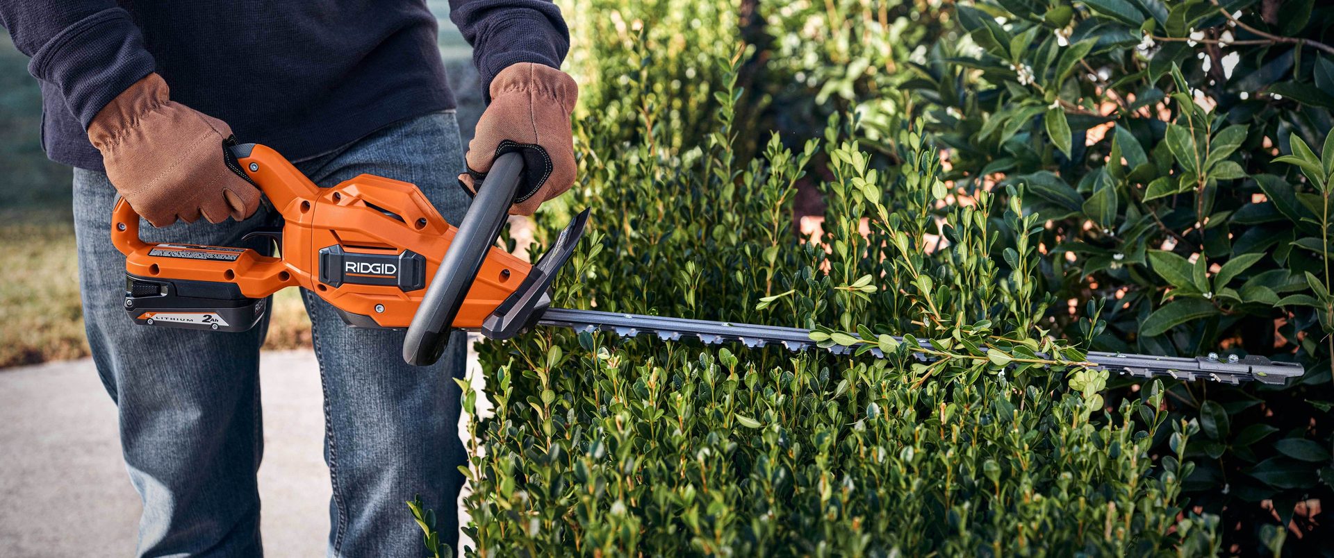 Ridgid 18v trimmer online