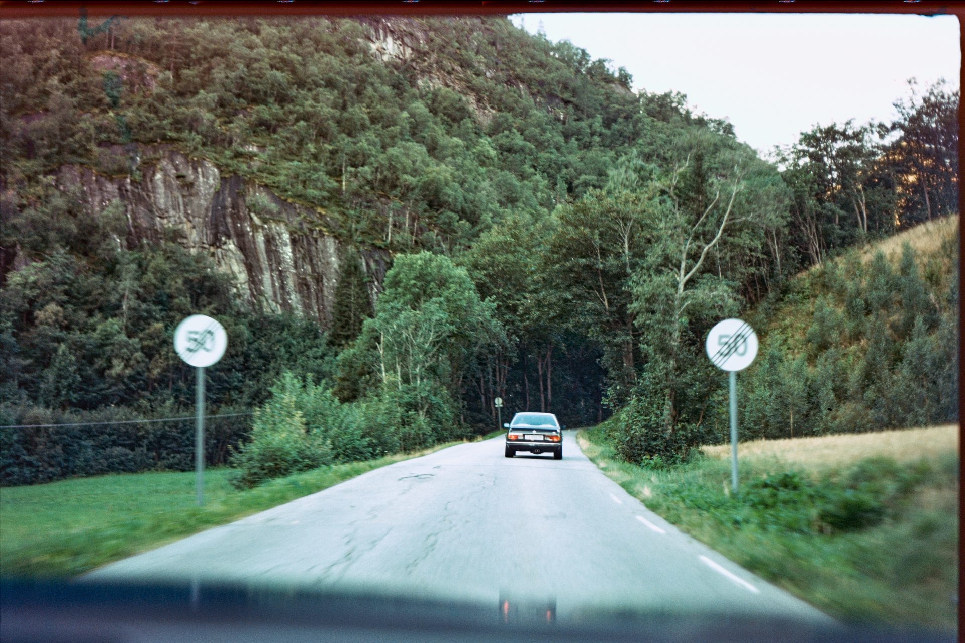 Motor vehicle, Road surface, Natural landscape, Plant, Infrastructure, Green, Car, Nature, Leaf
