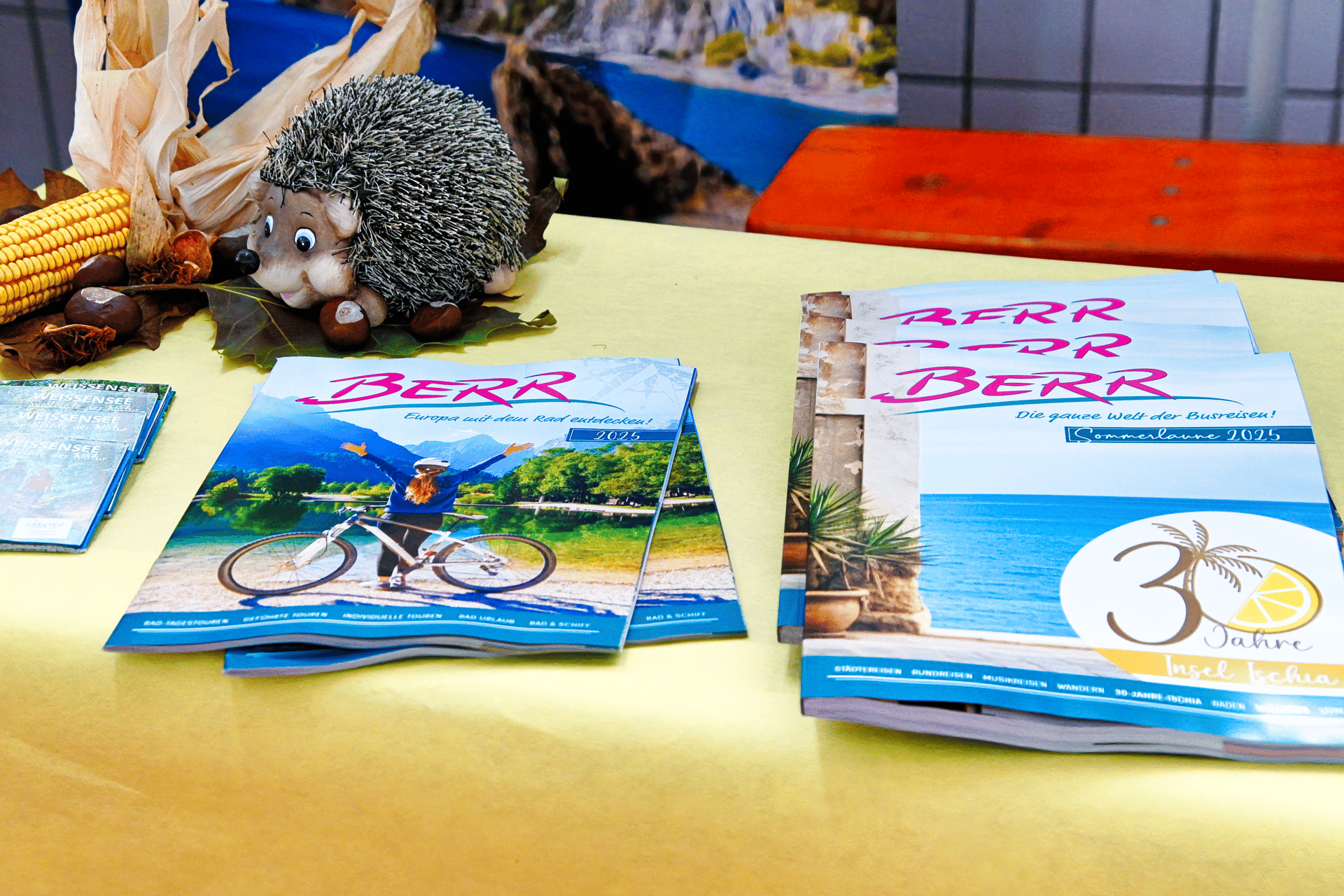 A hedgehog figurine, corn, chestnuts, and travel brochures on a yellow table.