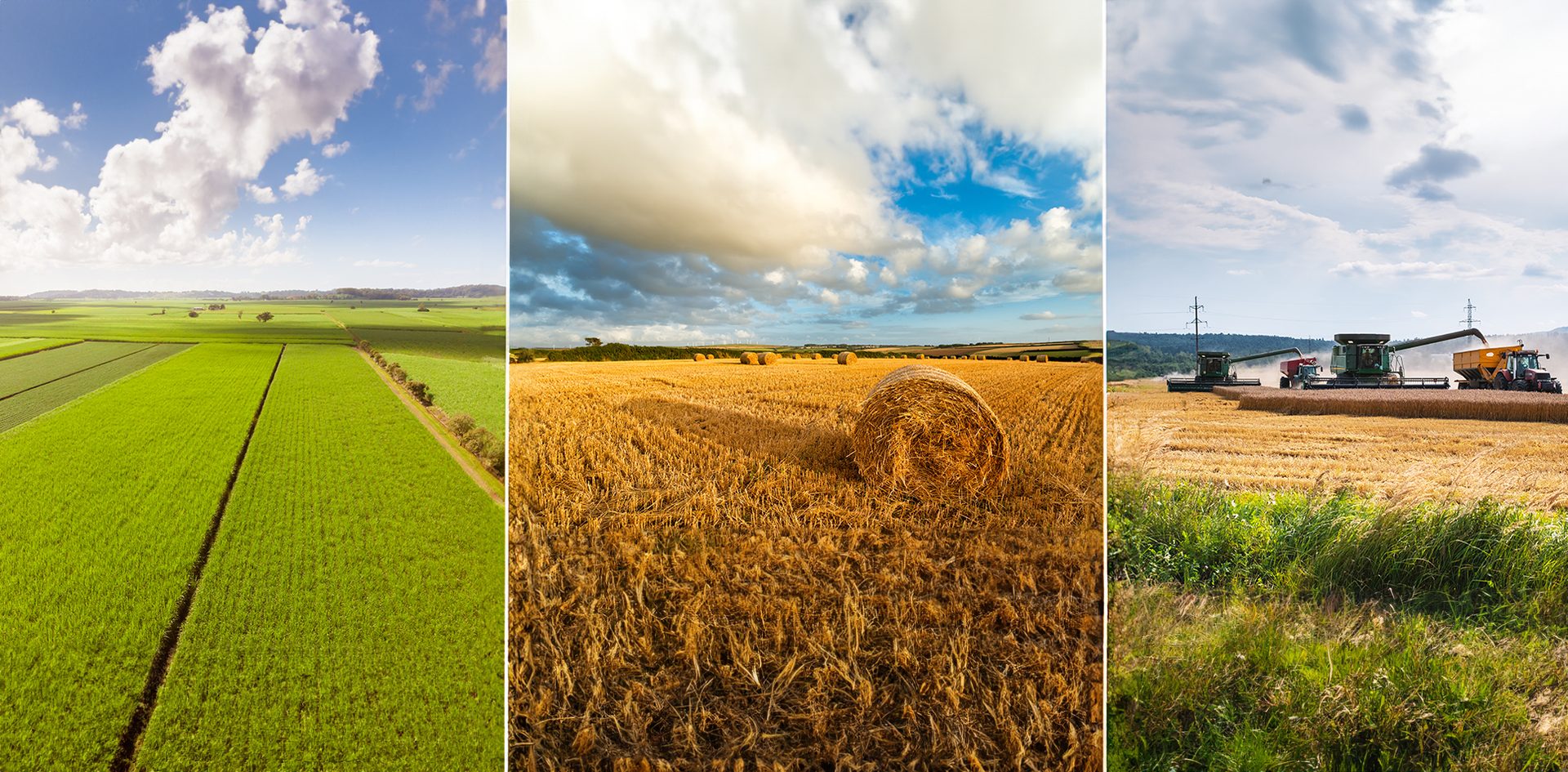 Agriculture, Field, Plain, Crop, Plantation, Prairie