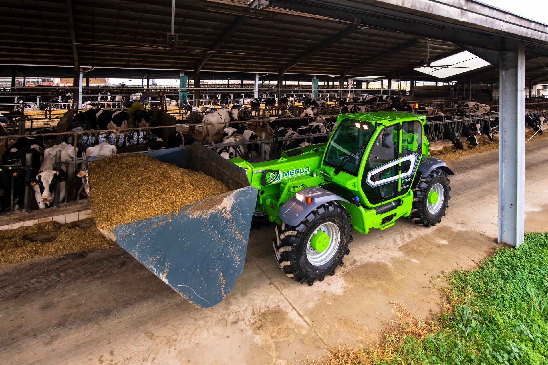 Automotive Wheel System, Machine, Tread