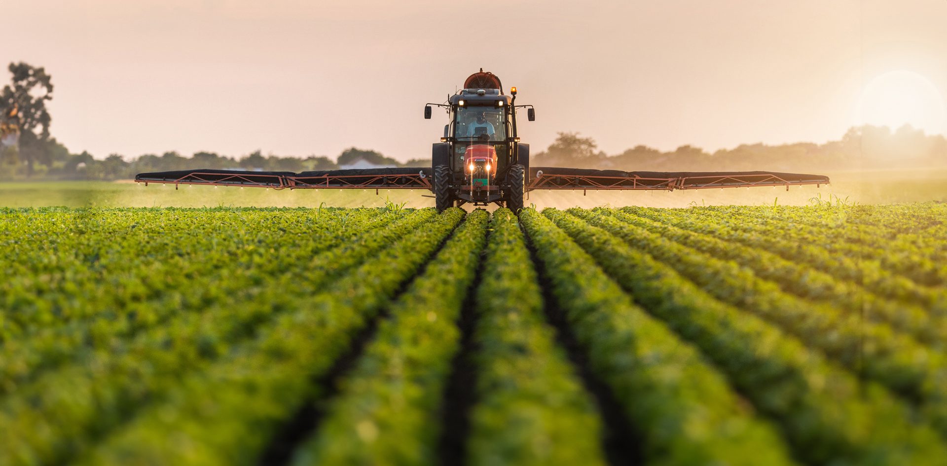 Agricultural machinery, Rural area, Agriculture, Field, Crop, Plantation, Tractor, Reaper, Farm, Farmworker
