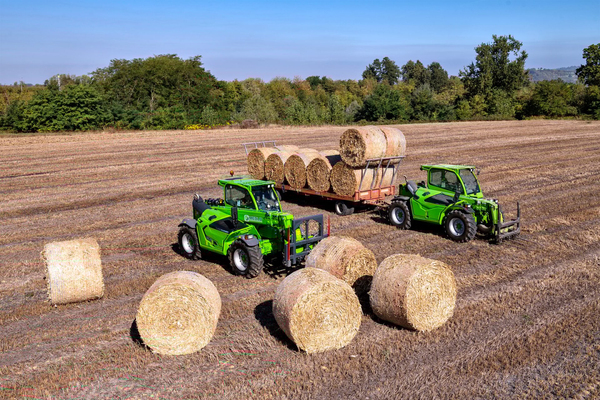 Two green Merlo telehandlers and hay bales in a harvested field, one loading a trailer.
