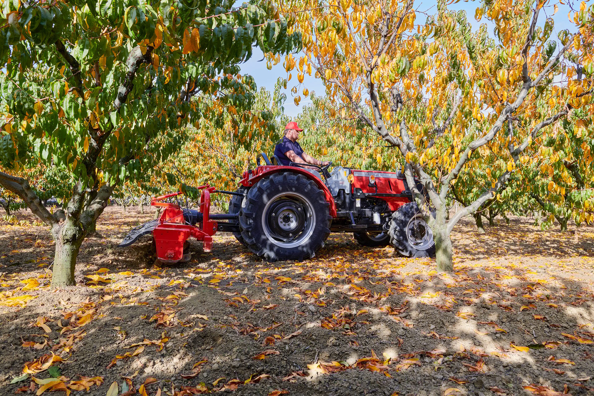 Automotive tire, Motor vehicle, Agricultural machinery, Wheel, Plant, Leaf, Tree, Tread